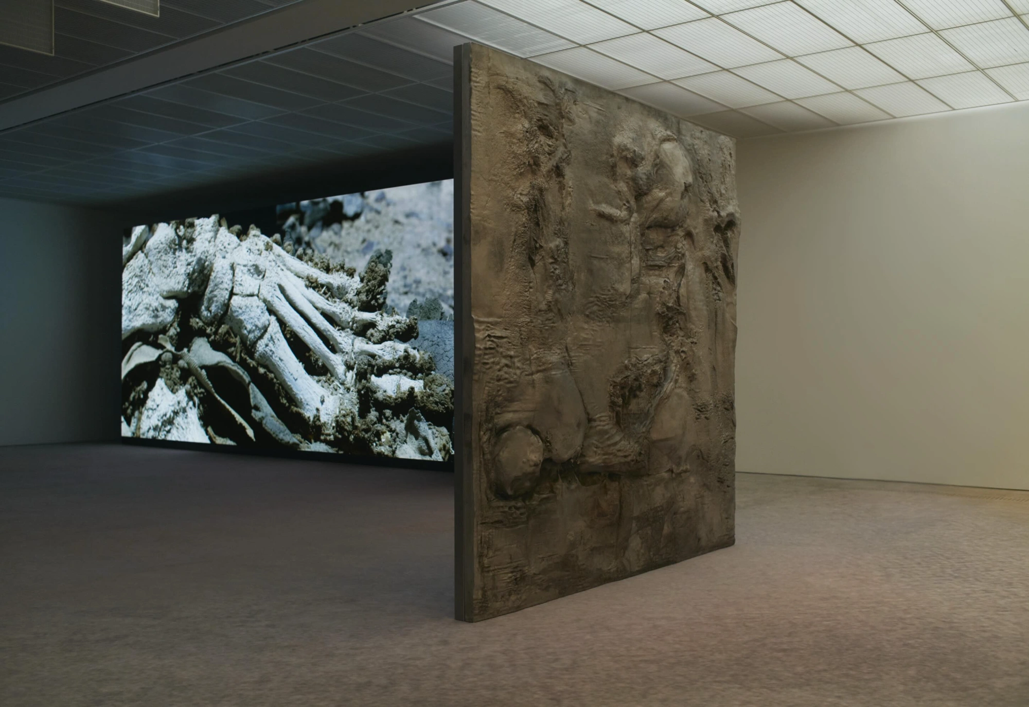 Pierre Huyghe at Fondation Beyeler