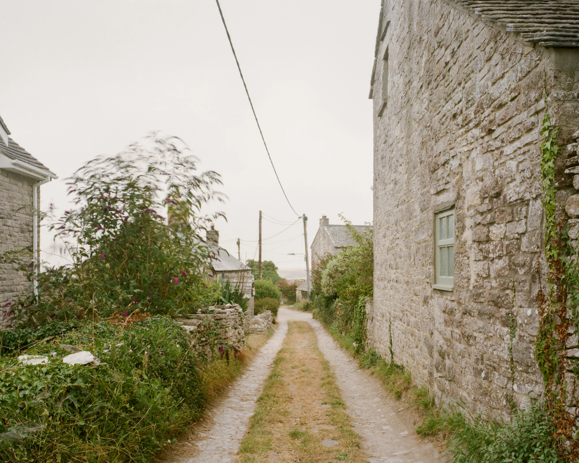 Purbeck Cottage by TYPE, photographed by Lorenzo Zandri — a grass track running between the cottage's side wall and a row of garden hedges, drystone copings catching the overcast light.