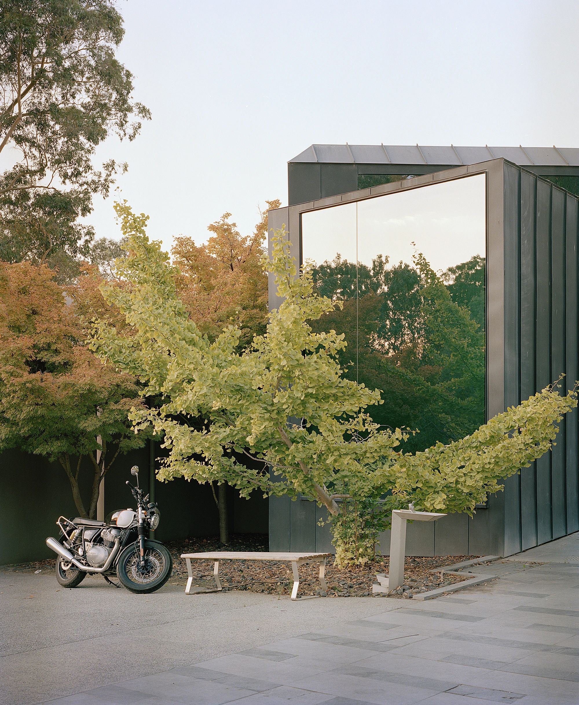 Heide by McGlashan and Everist, photographed by Danny Kai — the black titanium-zinc gallery turns its mirrored corner to a row of ginkgos with a motorcycle parked against the paving.