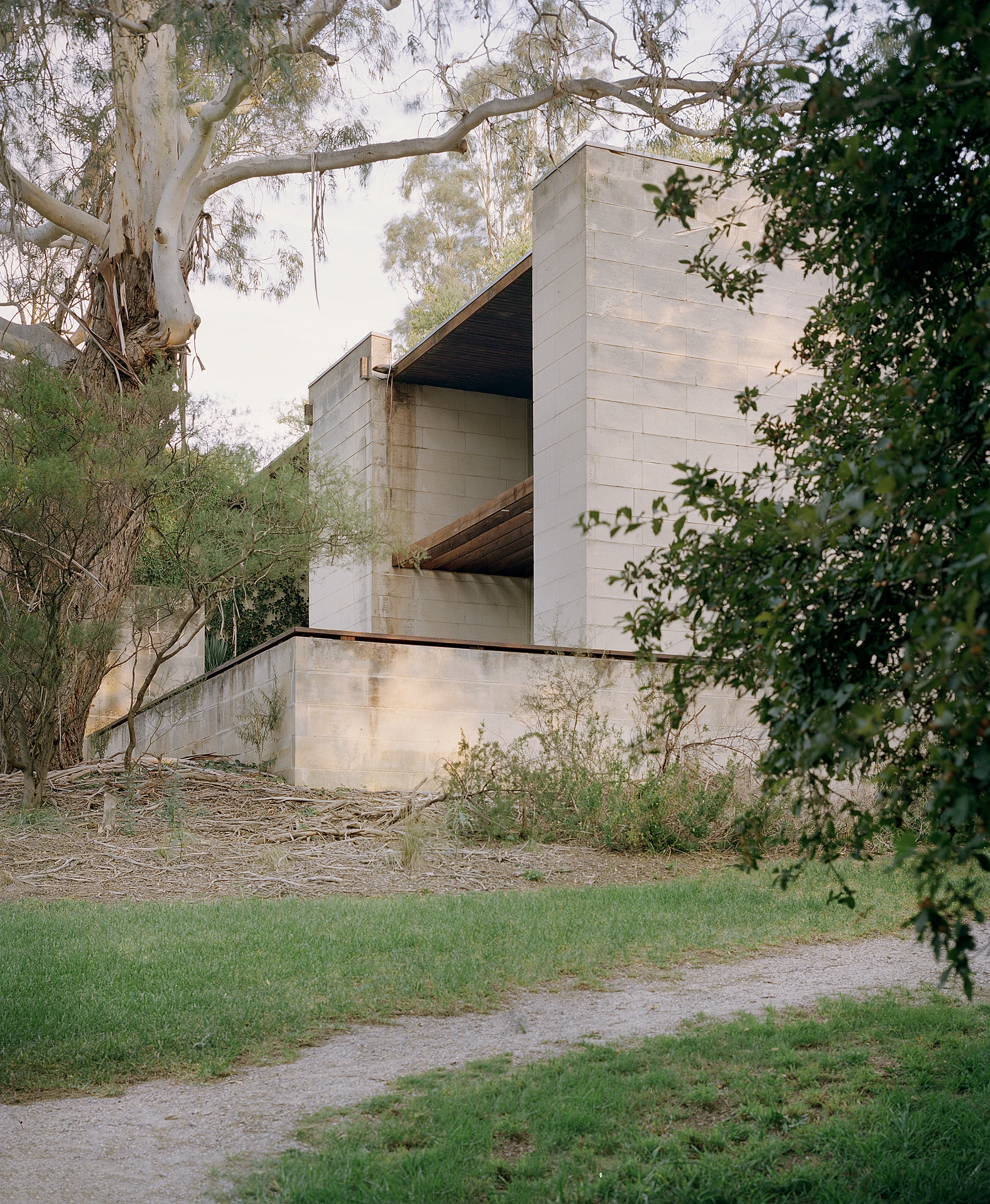 Heide by McGlashan and Everist, photographed by Danny Kai — the limestone volume stands clear of a gum tree, its cantilevered floor plate catching late light above a grass court.