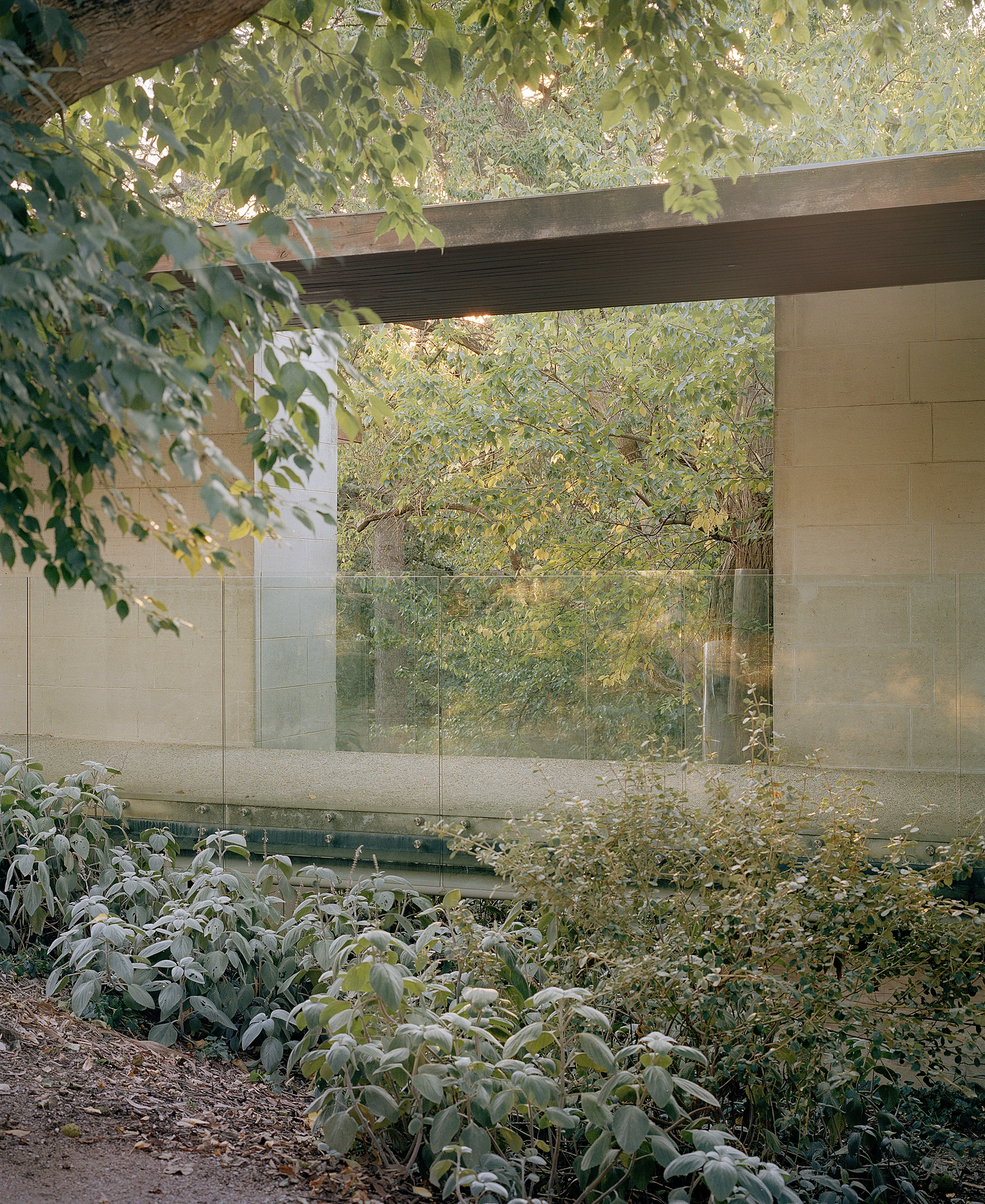 Heide by McGlashan and Everist, photographed by Danny Kai — a Mt Gambier limestone wall meets full-height glass at the garden edge, with leaves resting against the terrazzo sill.
