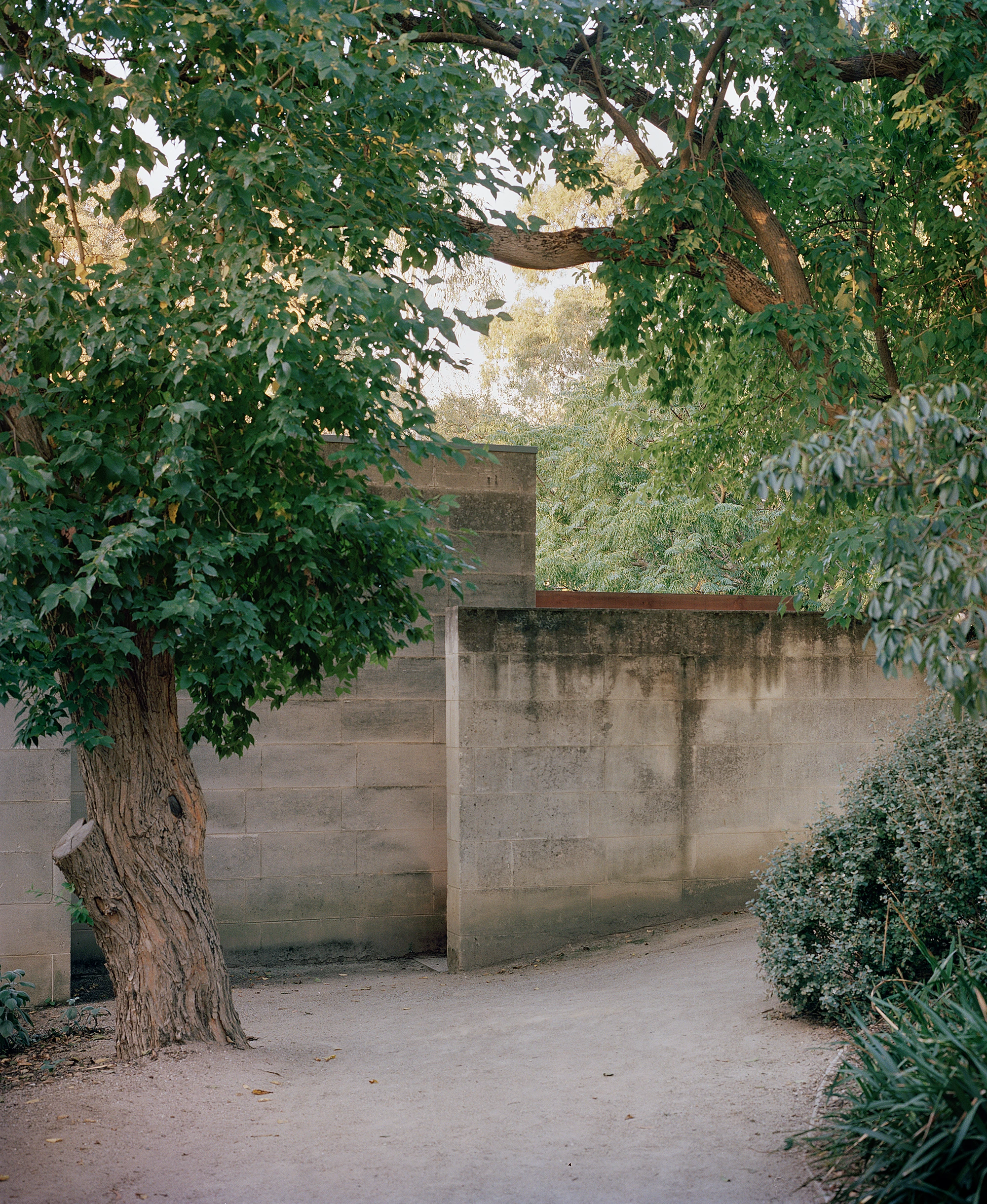 Heide by McGlashan and Everist, photographed by Danny Kai — a board-edged limestone wall extends past the building into the garden path, stained where rain has carried down the joints.