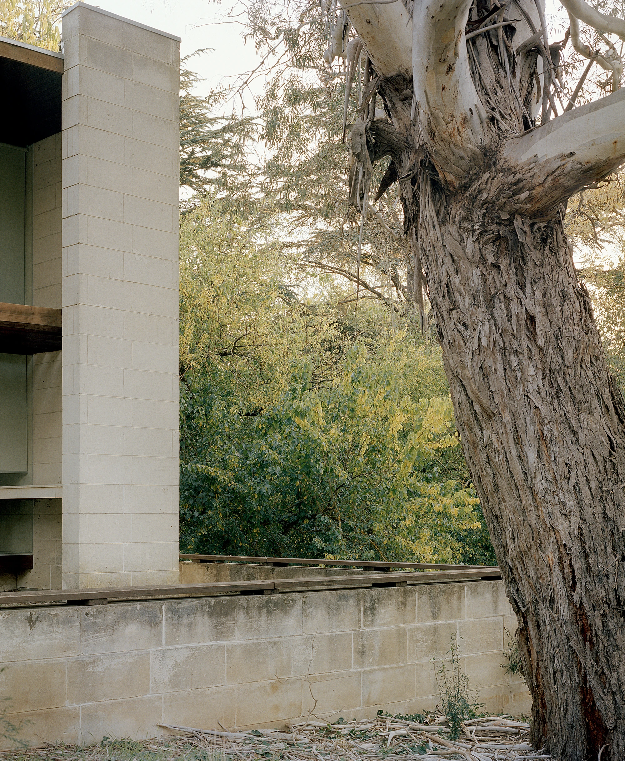 Heide by McGlashan and Everist, photographed by Danny Kai — a limestone pier and timber lintel pass an ironbark and look onto the next terrace below.