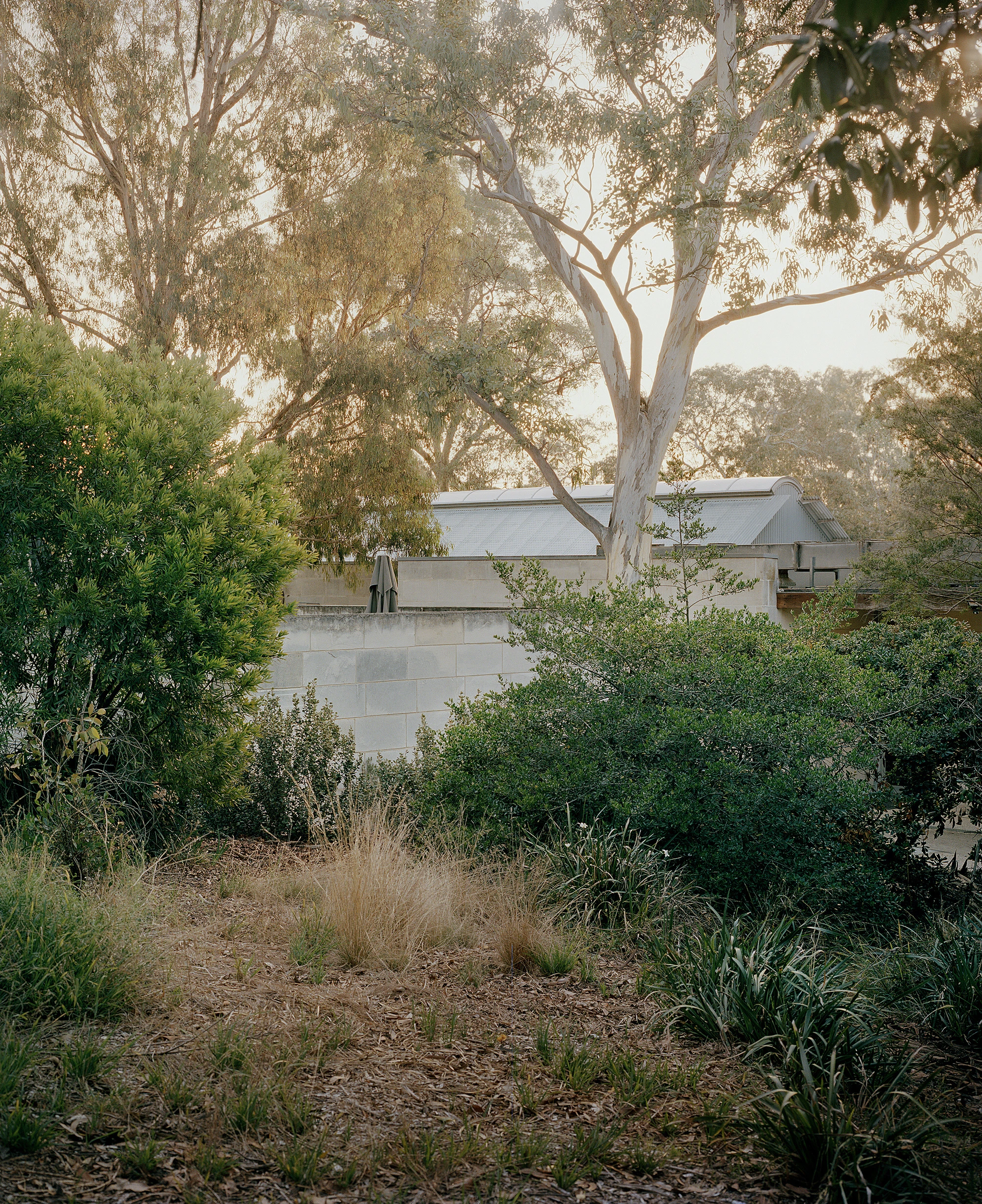 Heide by McGlashan and Everist, photographed by Danny Kai — long horizontal planes of limestone read above grasses and gums on the slope down to the Birrarung.