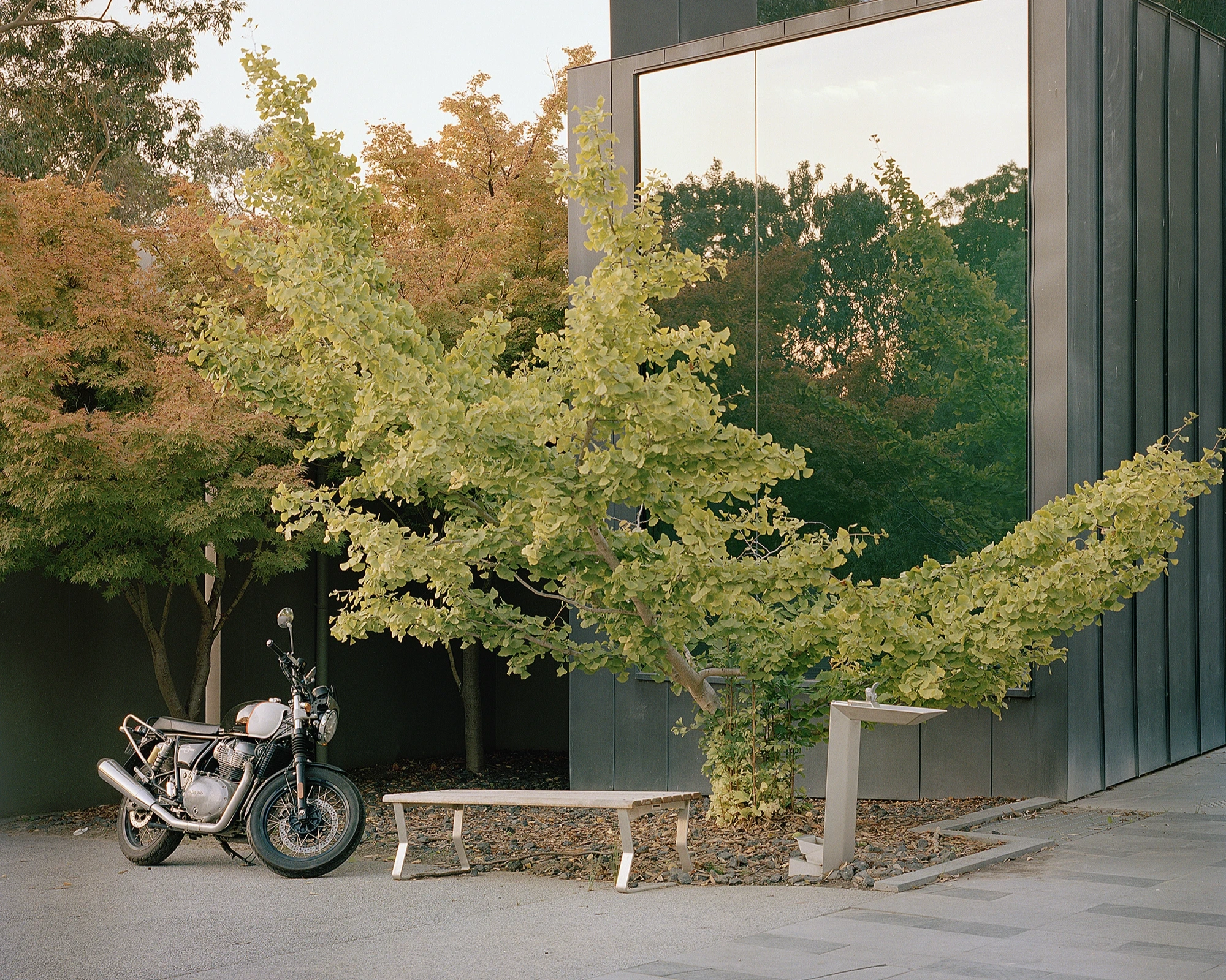 Heide by McGlashan and Everist photographed by Danny Kai