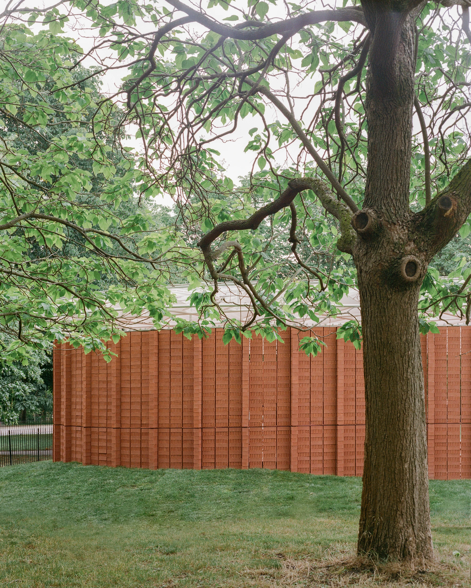 Serpentine Pavilion 2026 by LANZA atelier, photographed by Lorenzo Zandri — the perforated brick wall behind the broad branches of an existing tree in Kensington Gardens.