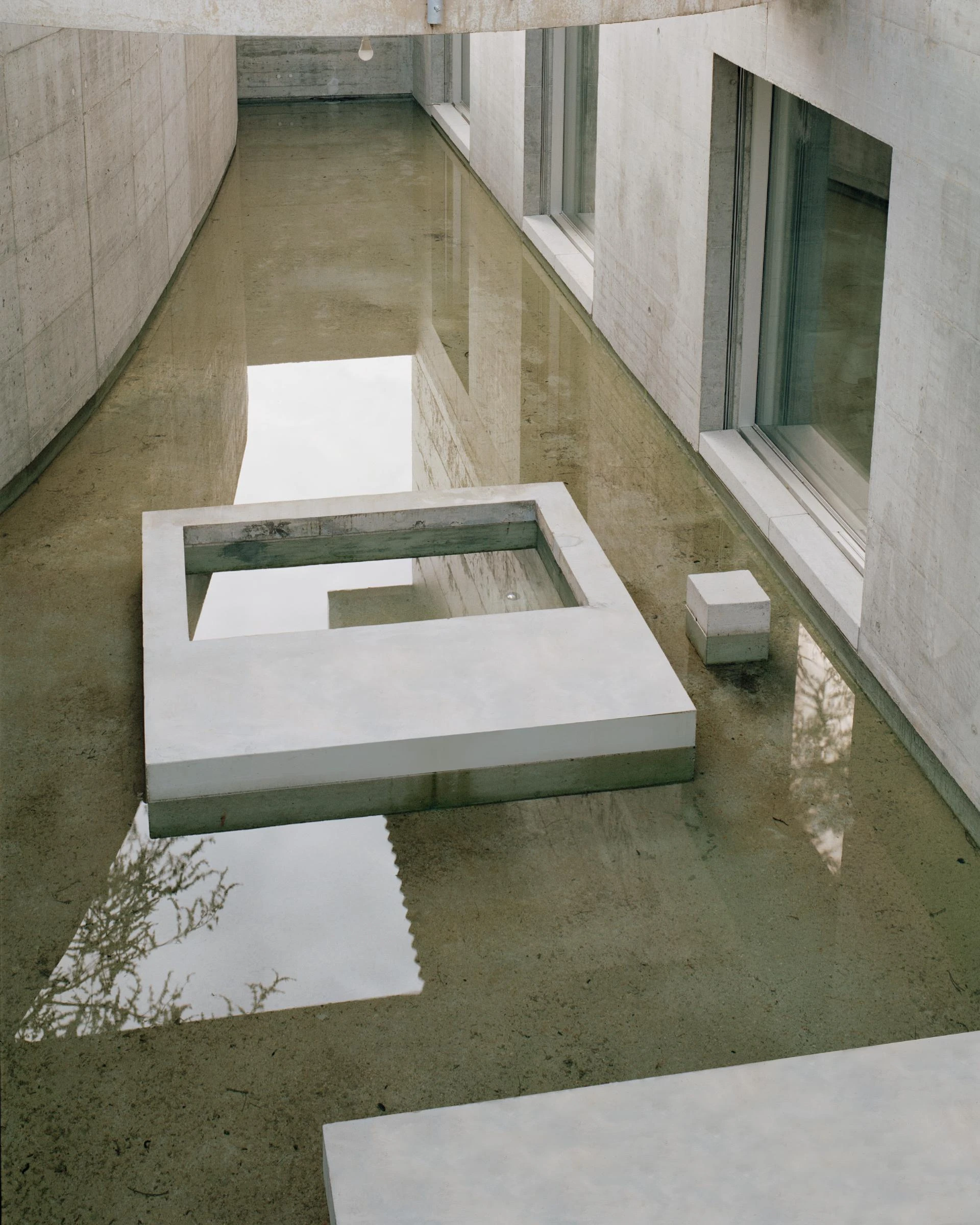 Villa M by Leopold Banchini Architects, Geneva Switzerland, board-formed concrete villa, reflecting water basin, Lake Geneva, Rory Gardiner