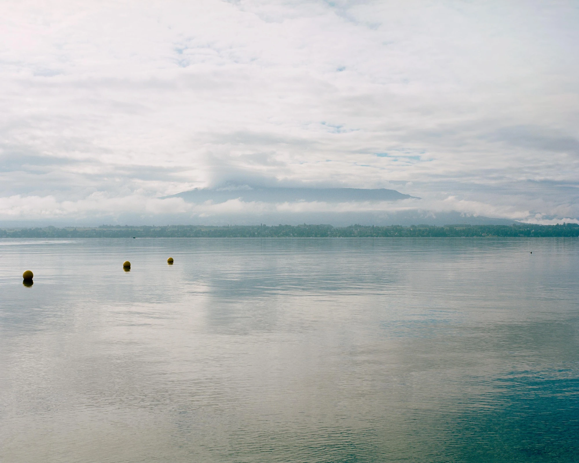 Villa M by Leopold Banchini Architects, Geneva Switzerland, board-formed concrete villa, reflecting water basin, Lake Geneva, Rory Gardiner