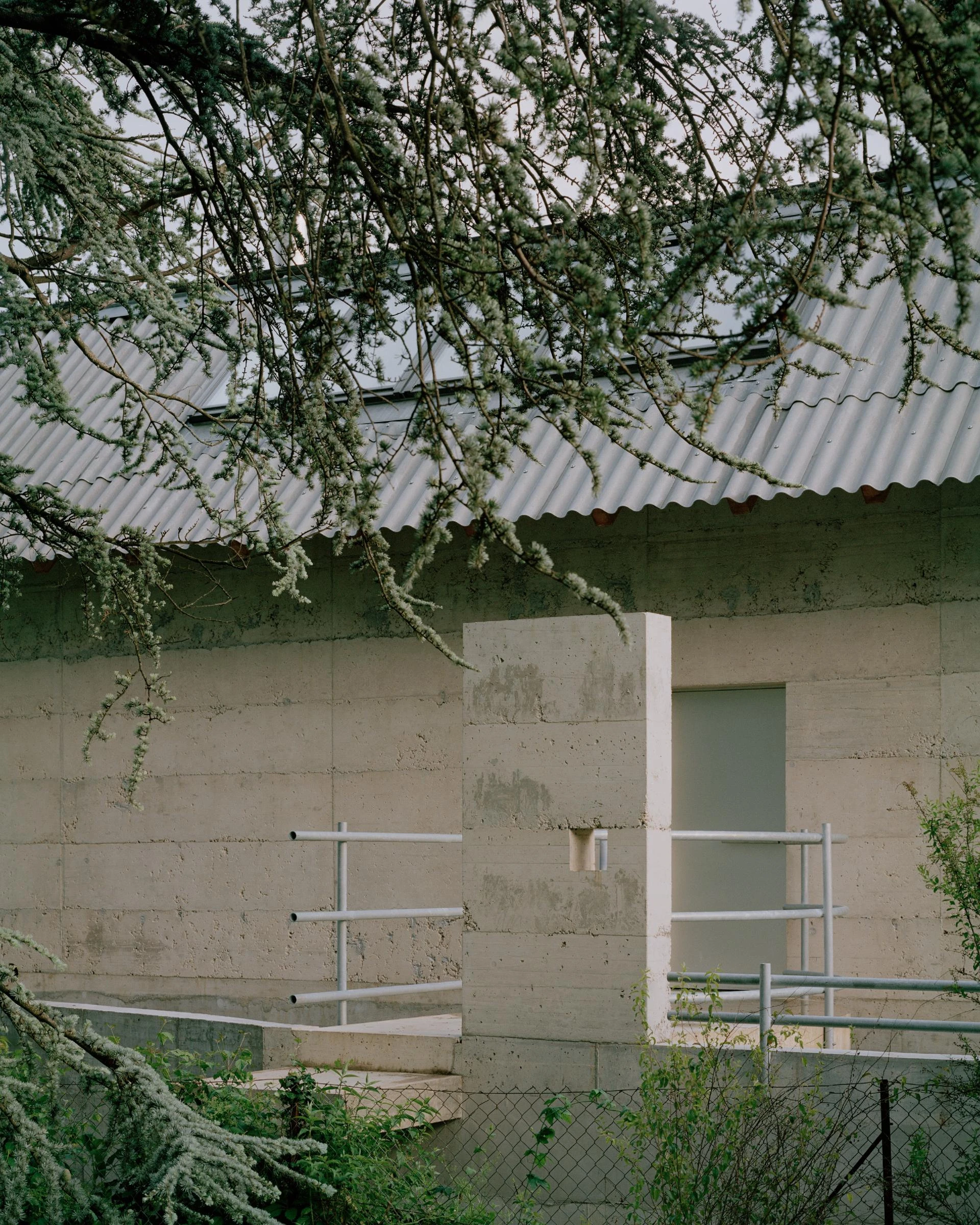 Villa M by Leopold Banchini Architects, Geneva Switzerland, board-formed concrete villa, reflecting water basin, Lake Geneva, Rory Gardiner