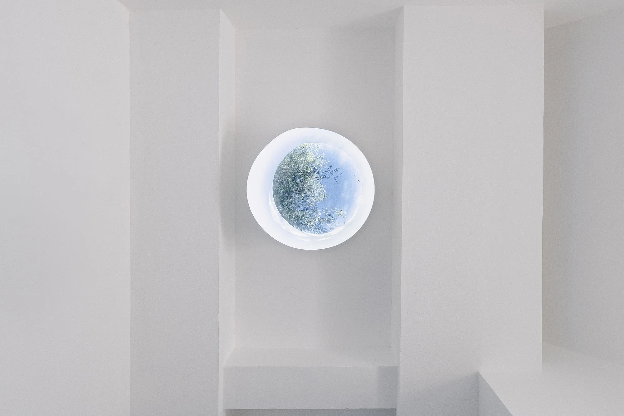 PSJ Chapel by Esteras Perrote Studio, photographed by Andrés Domínguez — circular oculus in the white plaster ceiling, framing the blue sky and the dappled canopy of the aguaribay tree, the deeply splayed funnel edge amplifying the disc of light.