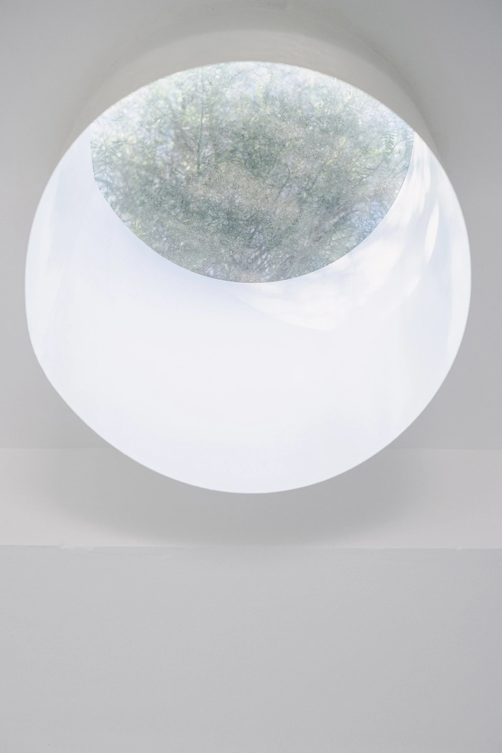 PSJ Chapel by Esteras Perrote Studio, photographed by Andrés Domínguez — close upward shot of the circular oculus, the deeply convex-splayed aperture revealing the blue-grey aguaribay canopy overhead, branches rendered soft by the glazed lens.