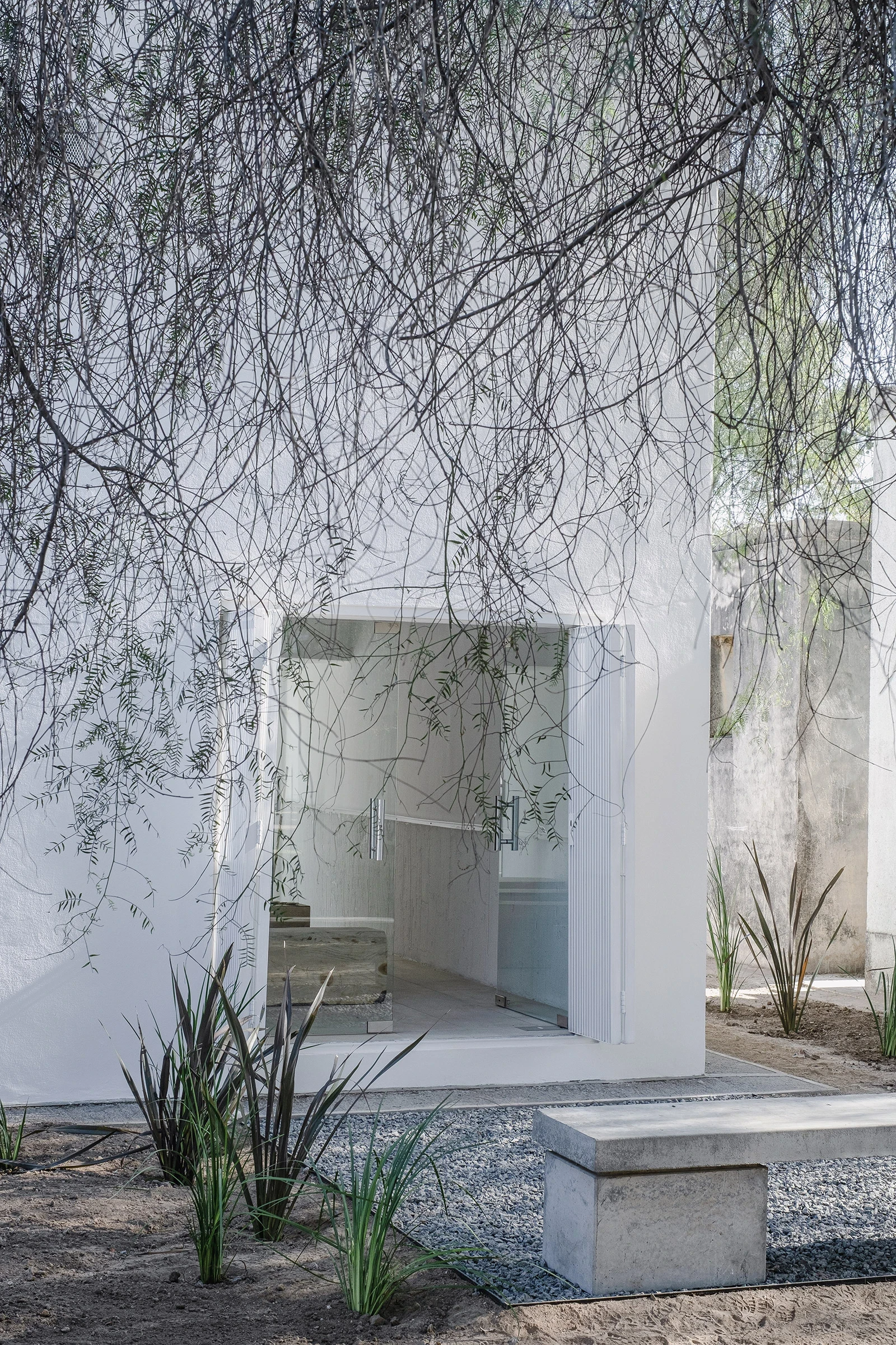 PSJ Chapel by Esteras Perrote Studio, photographed by Andrés Domínguez — the chapel entry portal framed by hanging aguaribay branches, a low concrete bench in the grey gravel foreground and agave plants at the base of the white render wall.