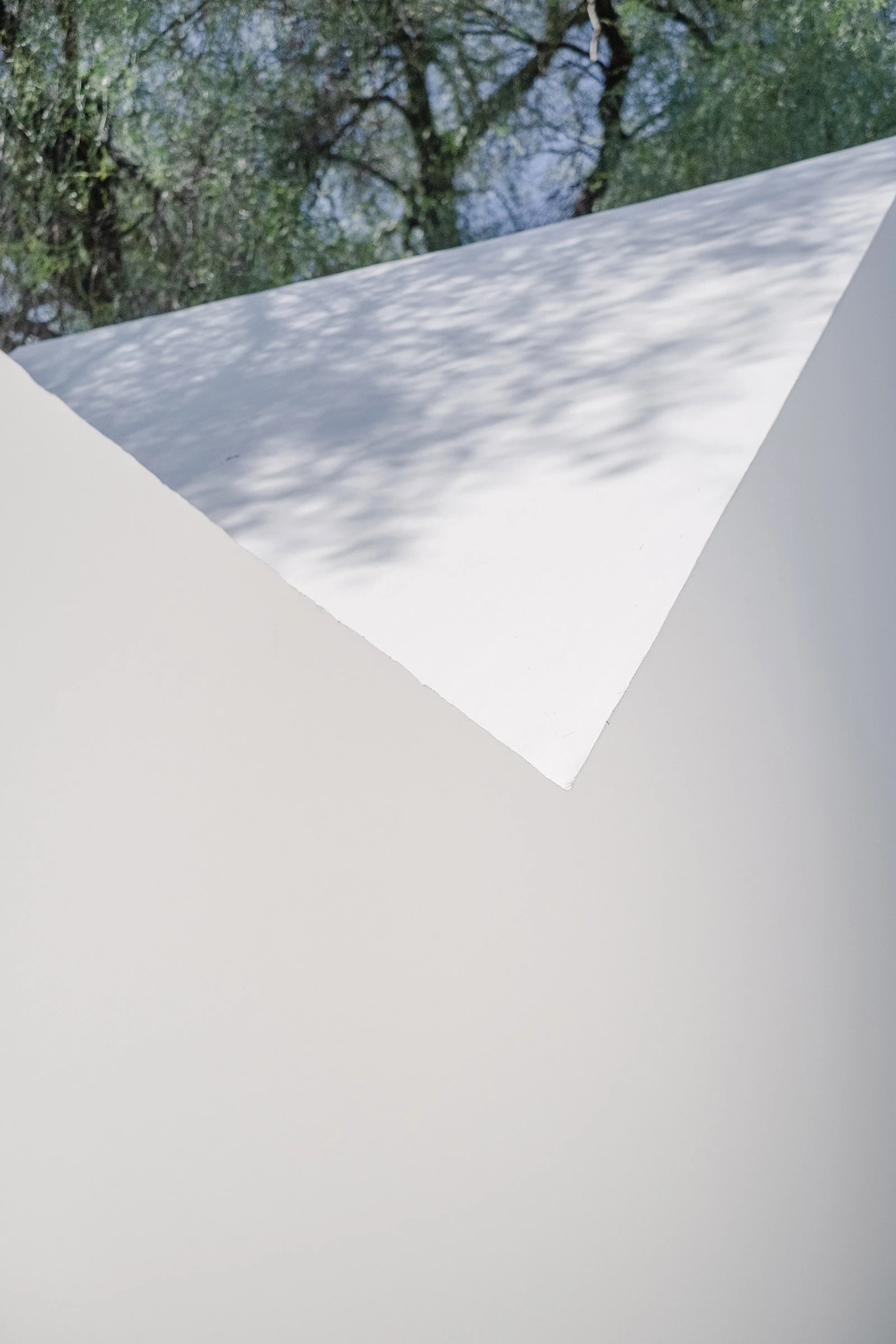 PSJ Chapel by Esteras Perrote Studio, photographed by Andrés Domínguez — detail of the angled roof plane in exterior light, two white render surfaces meeting in a sharp oblique ridge, the aguaribay canopy casting a loose dappled shadow across the surface.