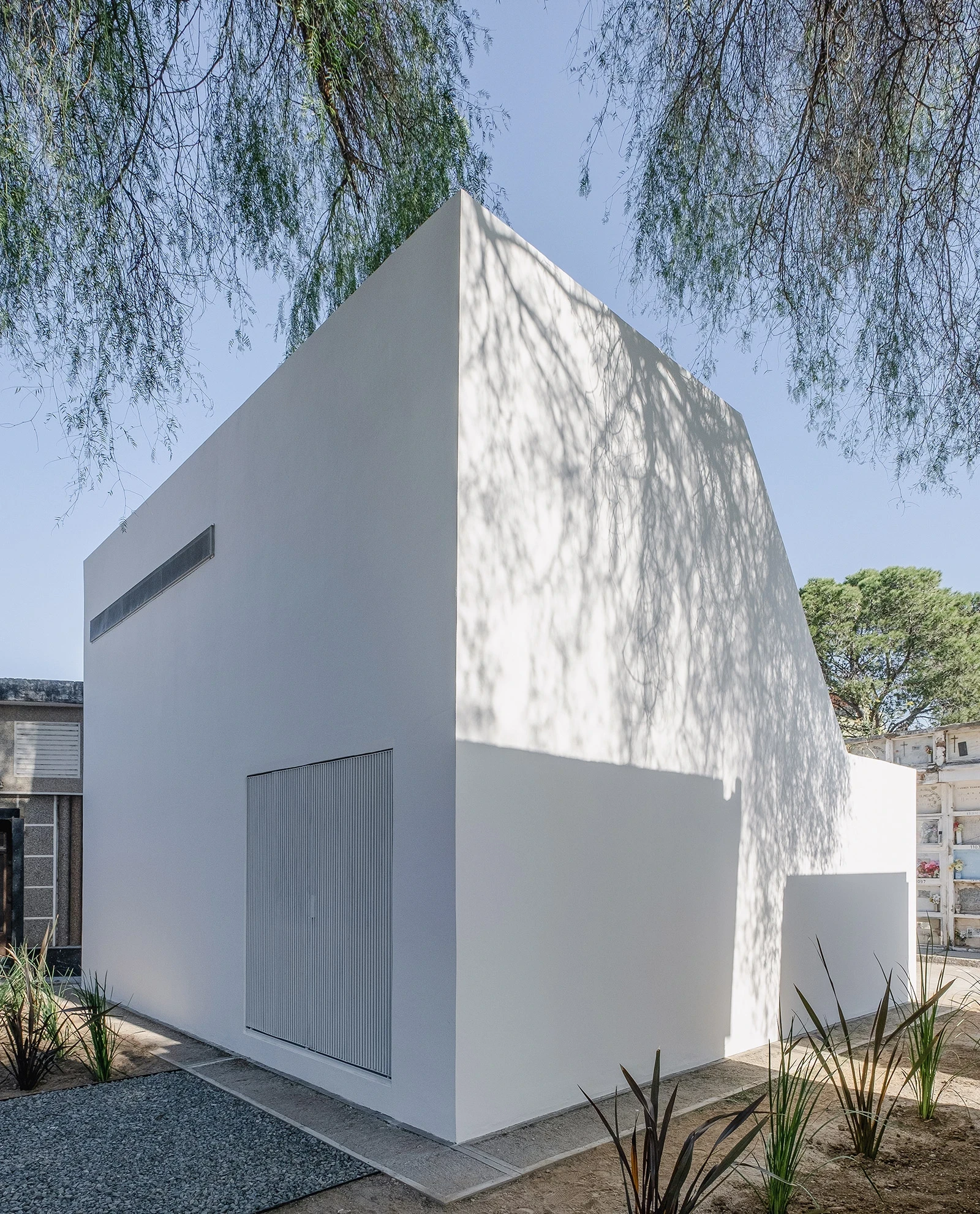 PSJ Chapel by Esteras Perrote Studio, photographed by Andrés Domínguez — the cube's north face in hard noon sun, white render plane catching the dappled shadow of the aguaribay, a narrow horizontal ventilation slot the only puncture in the blank upper wal