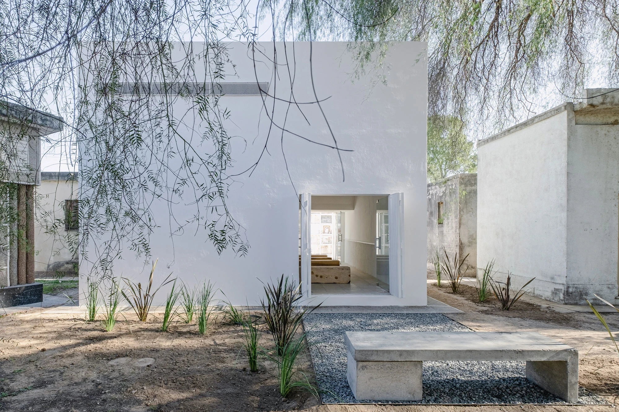 PSJ Chapel by Esteras Perrote Studio, photographed by Andrés Domínguez — white rendered cube with wide square portal open to a cemetery courtyard, an aguaribay tree casting thin shadow across the façade and a concrete bench in the crushed gravel foregroun