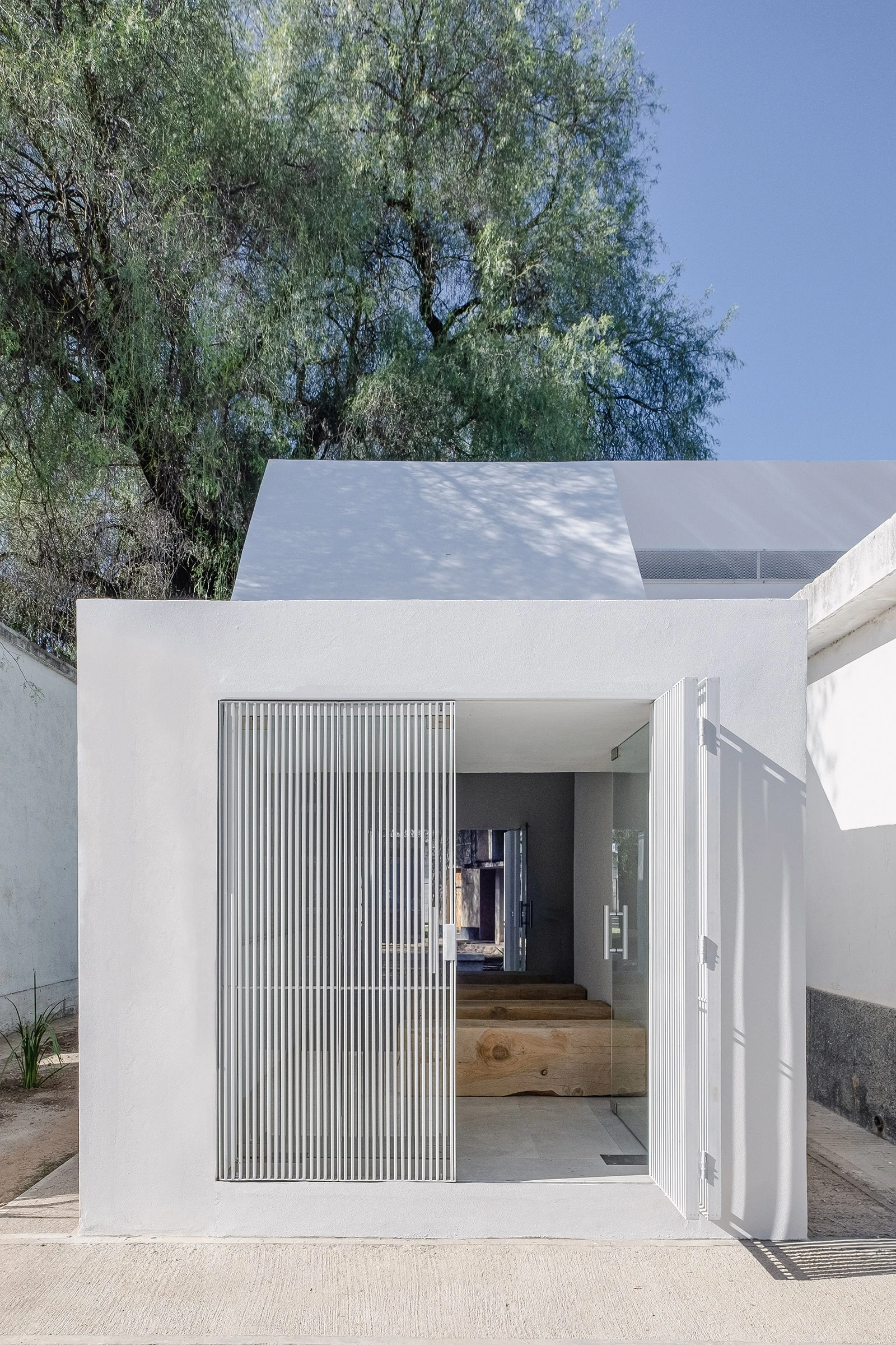 PSJ Chapel by Esteras Perrote Studio, photographed by Andrés Domínguez — the cemetery-facing façade under open sky, white cube with a single louvred door panel half open, an aguaribay tree overhead and agave plants at the plinth line.