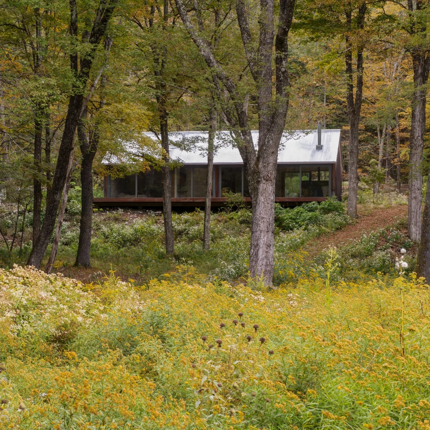 Studio & Guest House by Neil Logan, photographed by Mikael Olsson — studio seen from the far meadow, its full-length panoramic glazing facing a field of goldenrod and wildflowers, the dark vertical board cladding flat against the wooded slope behind.
