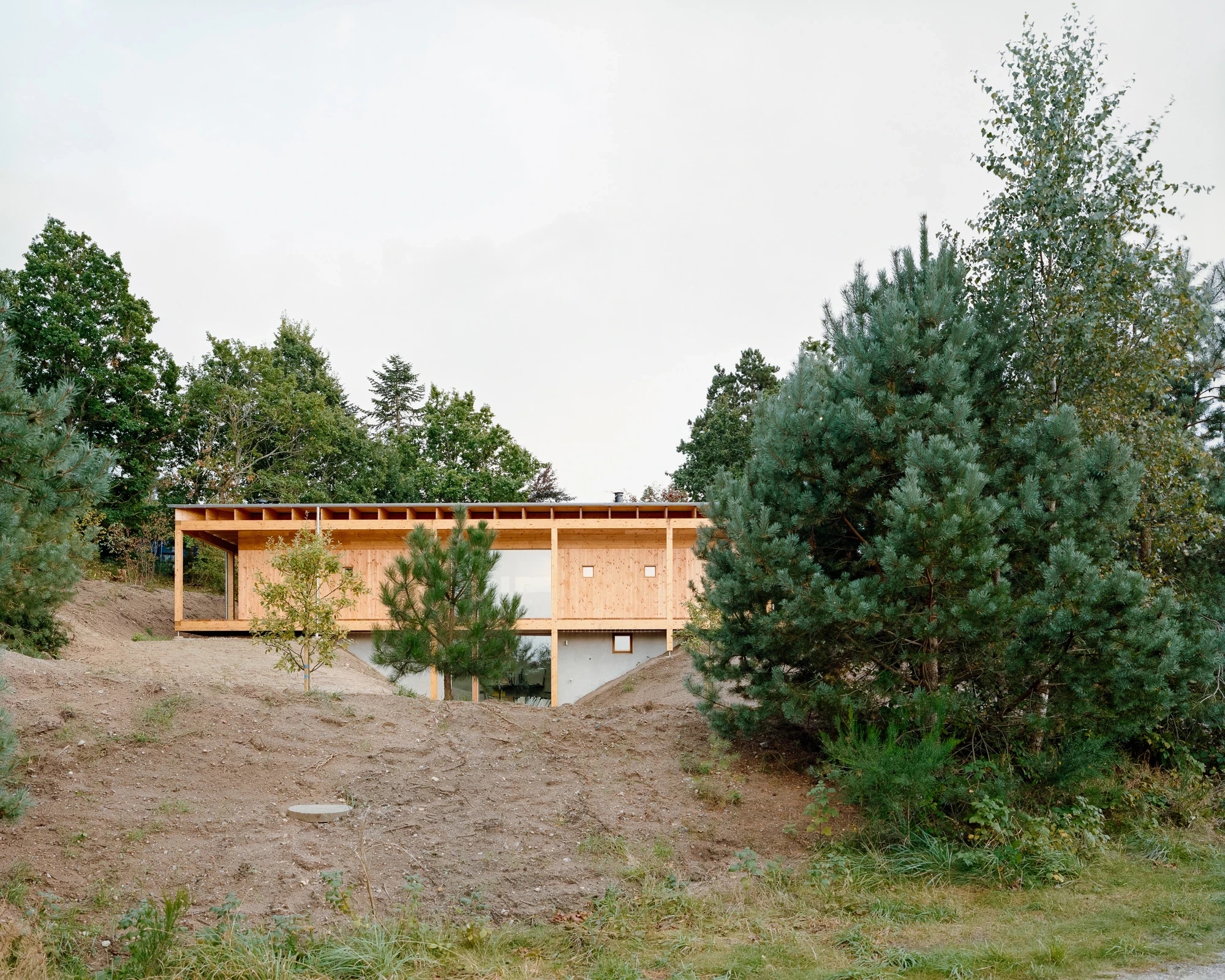 House in Ebeltoft by Høyer Arkitektur, photographed by Hampus Berndtson — the east elevation seen from the moraine slope, a low spruce CLT volume with a deep-overhanging pitched roof and square timber columns on point footings, surrounded by Scots pine.