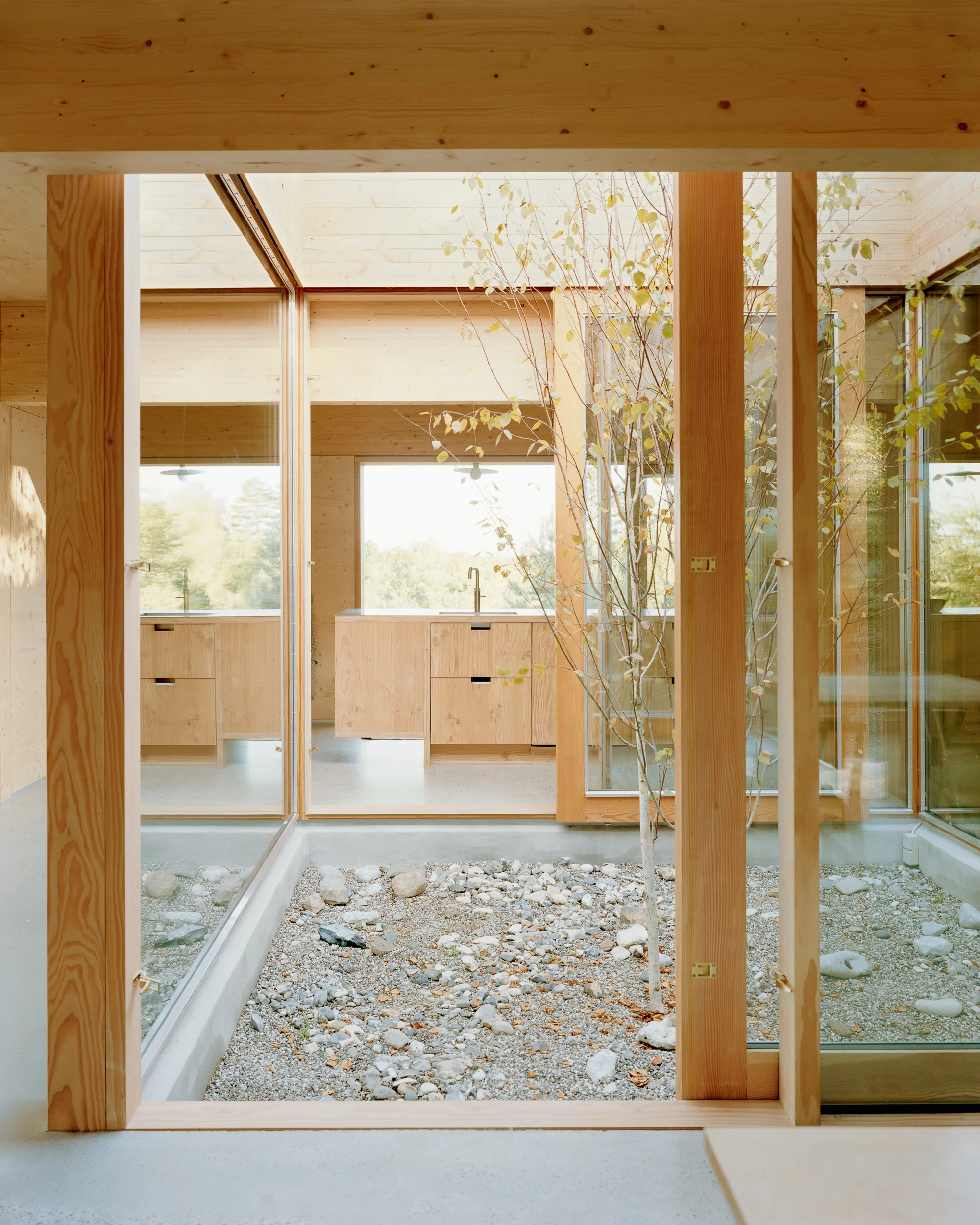House in Ebeltoft by Høyer Arkitektur, photographed by Hampus Berndtson — looking into the central atrium from the interior threshold, the river-stone bed and bare-branched tree reflected in the surrounding sliding glass panels.