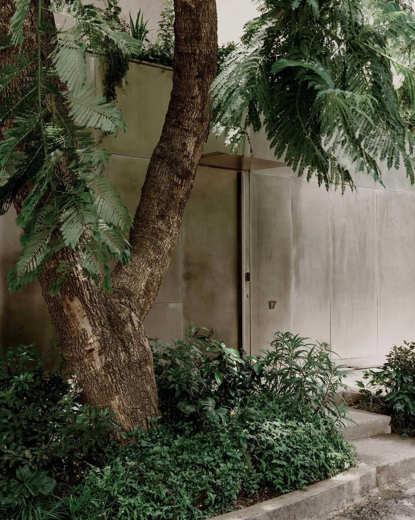 Barrancas by PPAA, photographed by Luis Garvan — burnished metallic panels rise behind a foreground of ferns and shrubs, the facade becoming background rather than boundary.
