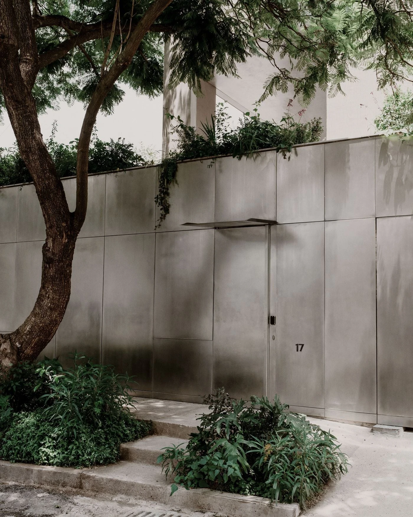 Barrancas by PPAA, photographed by Luis Garvan — the boundary wall's mirrored panels dissolve the property edge into the planting they reflect, ferns and flowering stems doubling in the burnished surface.