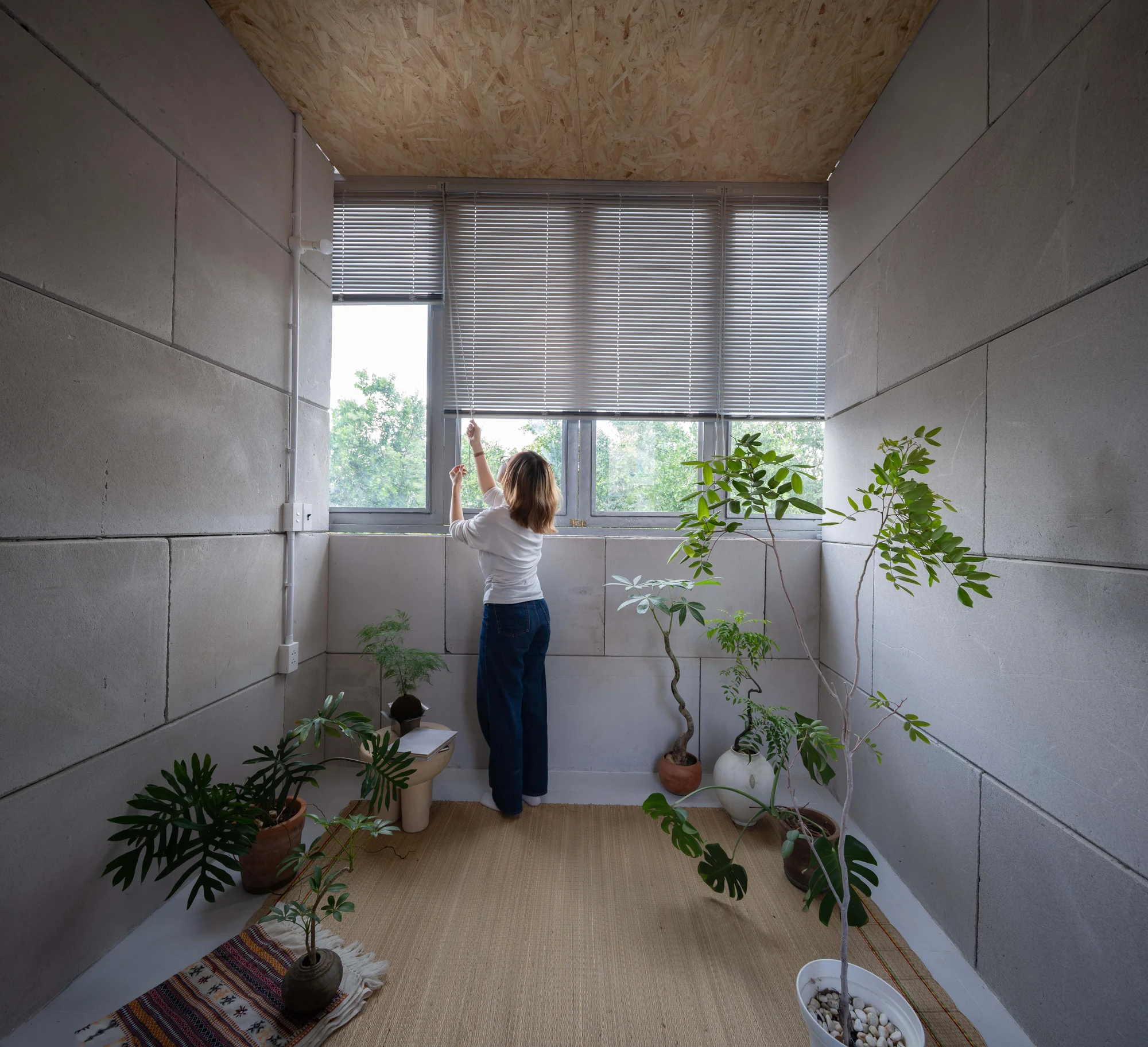 11M2 HOUSE by scale50, photographed by Nguyen Manh Toan — Upper-floor room with OSB ceiling, AAC panel walls and an aluminium casement opened onto the canopy of a neighbouring tree, plants lining the floor.