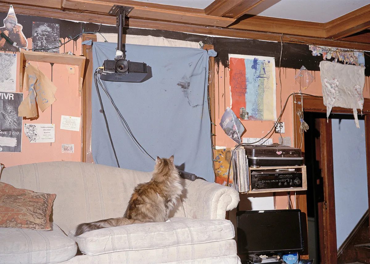Christopher Postlewaite by Christopher Postlewaite, photographed by Christopher Postlewaite — A long-haired calico cat seated on the armrest of a striped couch staring at a stained blue projector screen, the room papered with show flyers and posters.