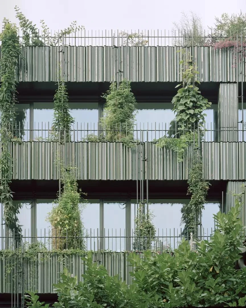 Globus, Basel by Miller & Maranta, photographed by Rory Gardiner — the planted rooftop terraces rise behind a tiled historic roof, a stone church tower beyond.