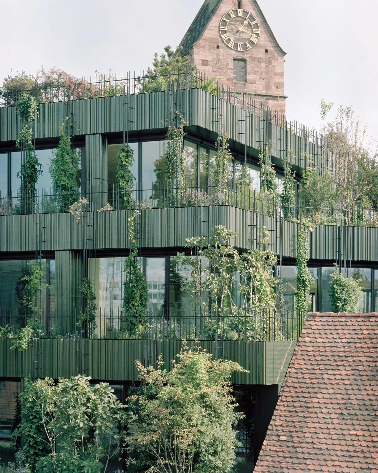 Globus, Basel by Miller & Maranta, photographed by Rory Gardiner — close detail of the green louvered facade behind a cage of thin metal rods that doubles as a trellis for climbing plants.