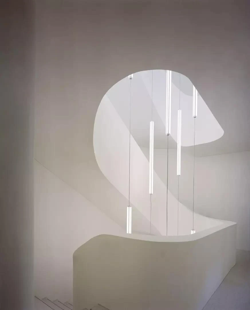 Globus, Basel by Miller & Maranta, photographed by Rory Gardiner — the curved white-plaster atrium void, daylight falling from a rounded aperture past slender hanging light tubes.