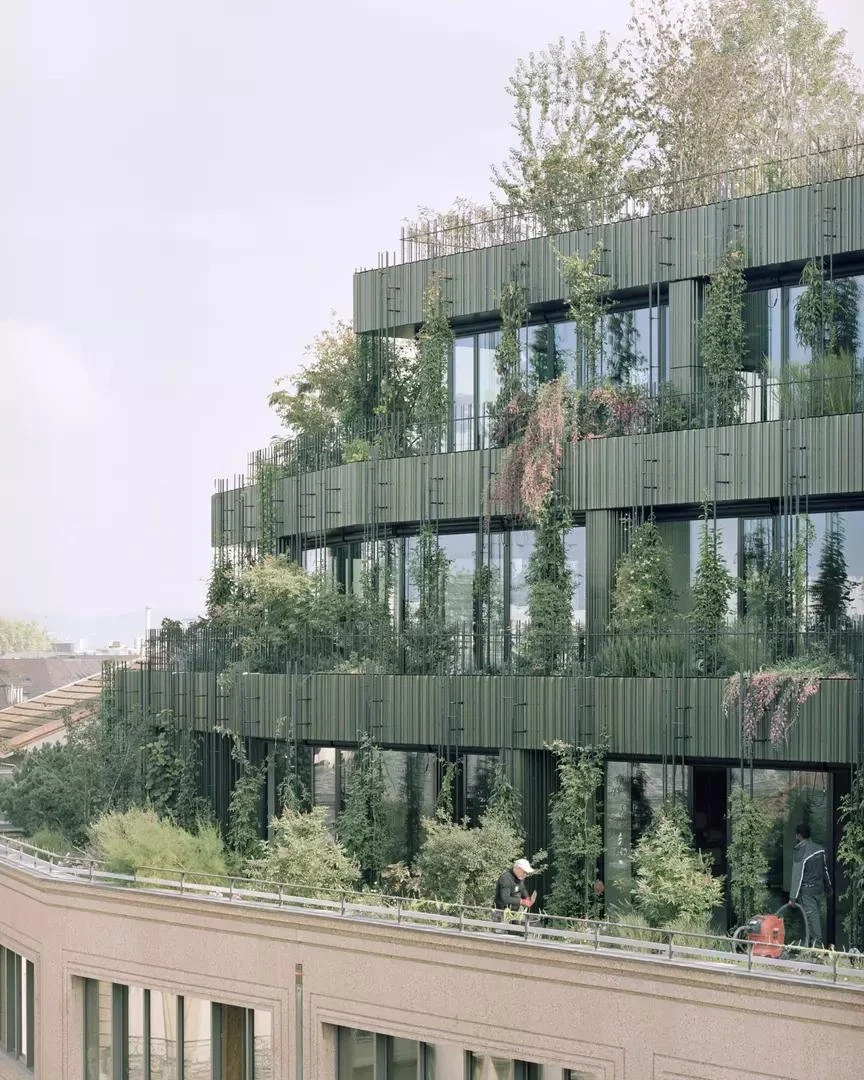 Globus, Basel by Miller & Maranta, photographed by Rory Gardiner — a gardener tends the intensive planting on a terrace as vines spill across the full-height green facade.