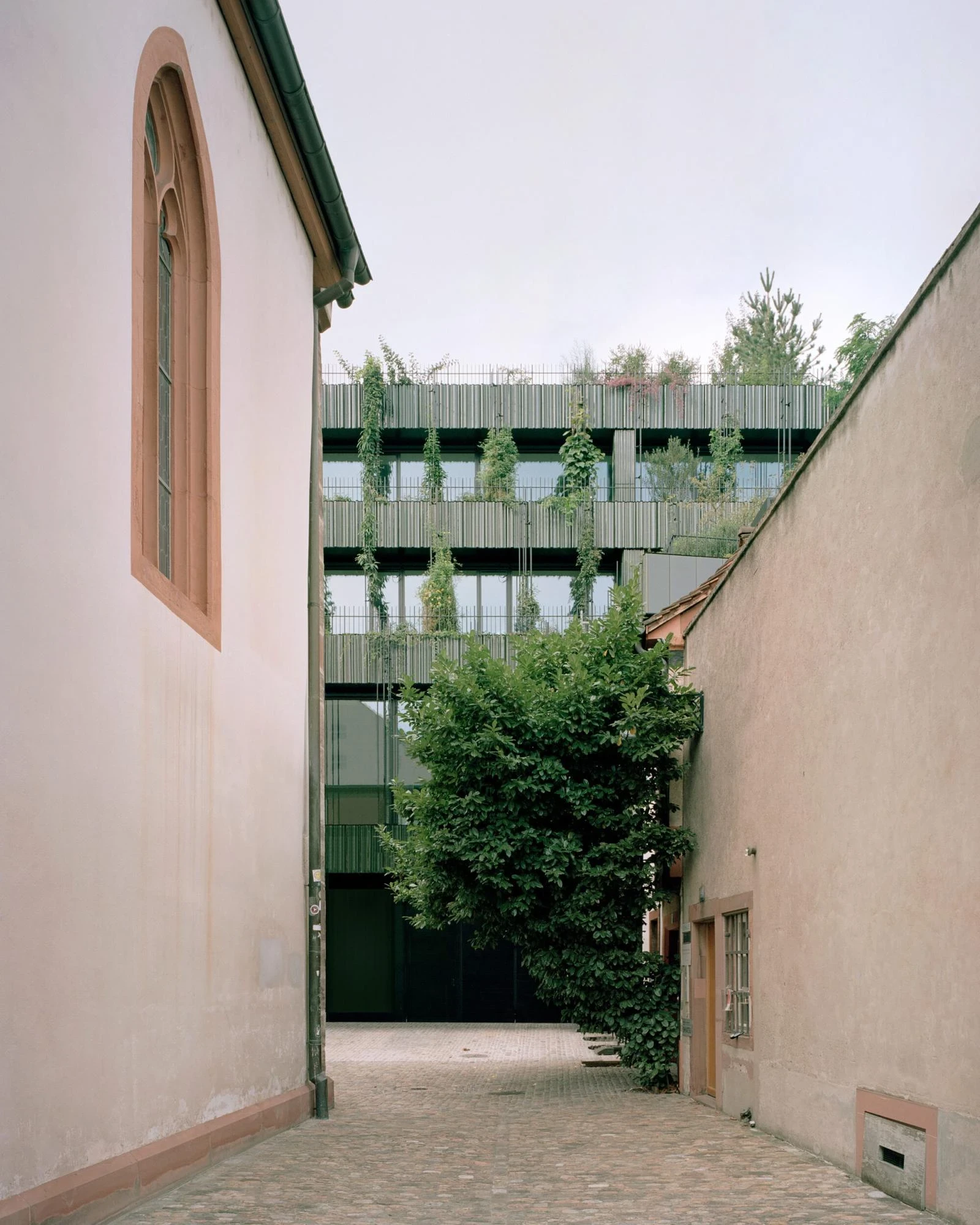 Globus, Basel by Miller & Maranta, photographed by Rory Gardiner — a narrow cobbled courtyard between a rendered church wall and the building, the green louvered terraces overhead.