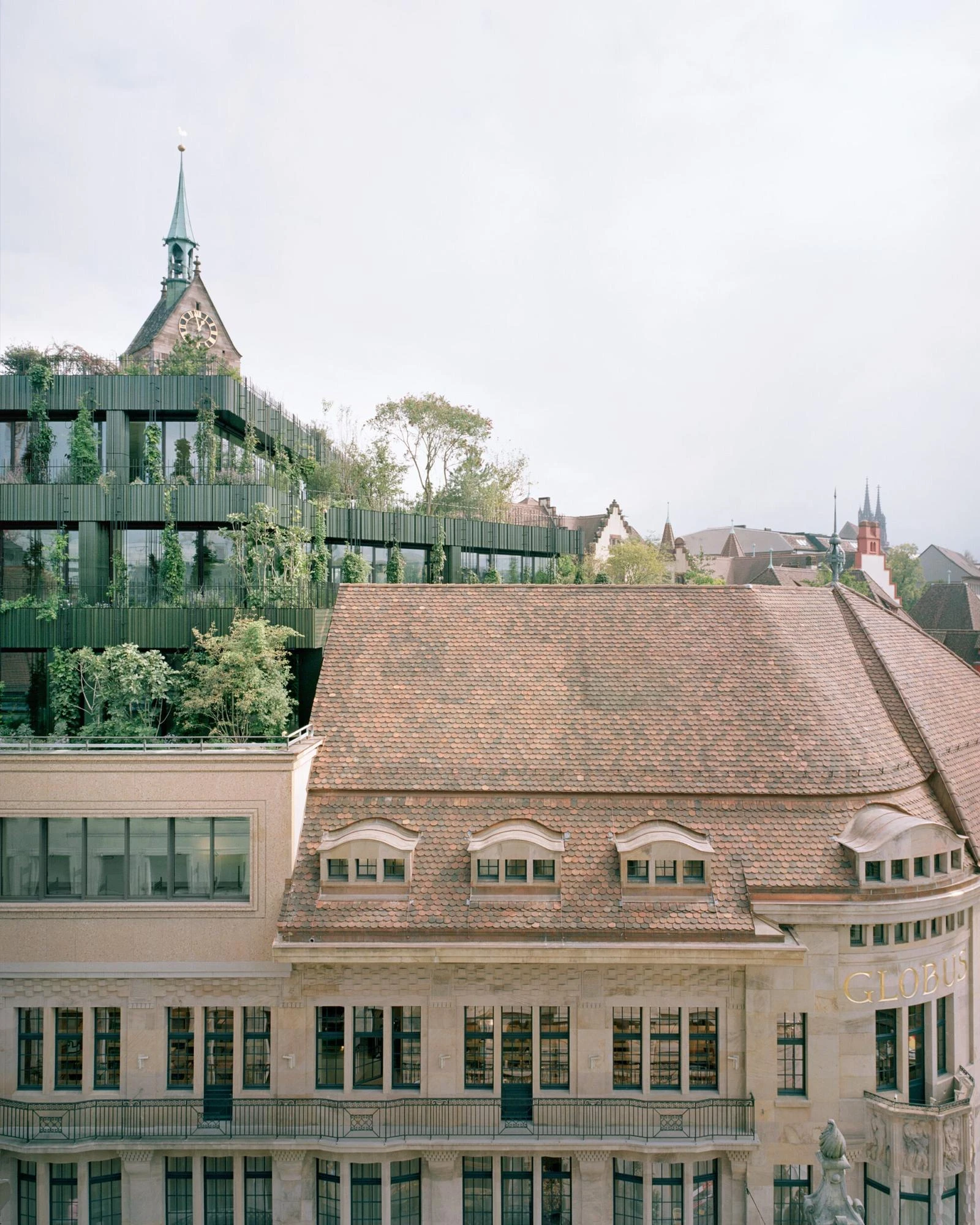 Globus, Basel by Miller & Maranta, photographed by Rory Gardiner — the stepped planted attic seen above an ornamental tiled roof, a church spire rising behind.