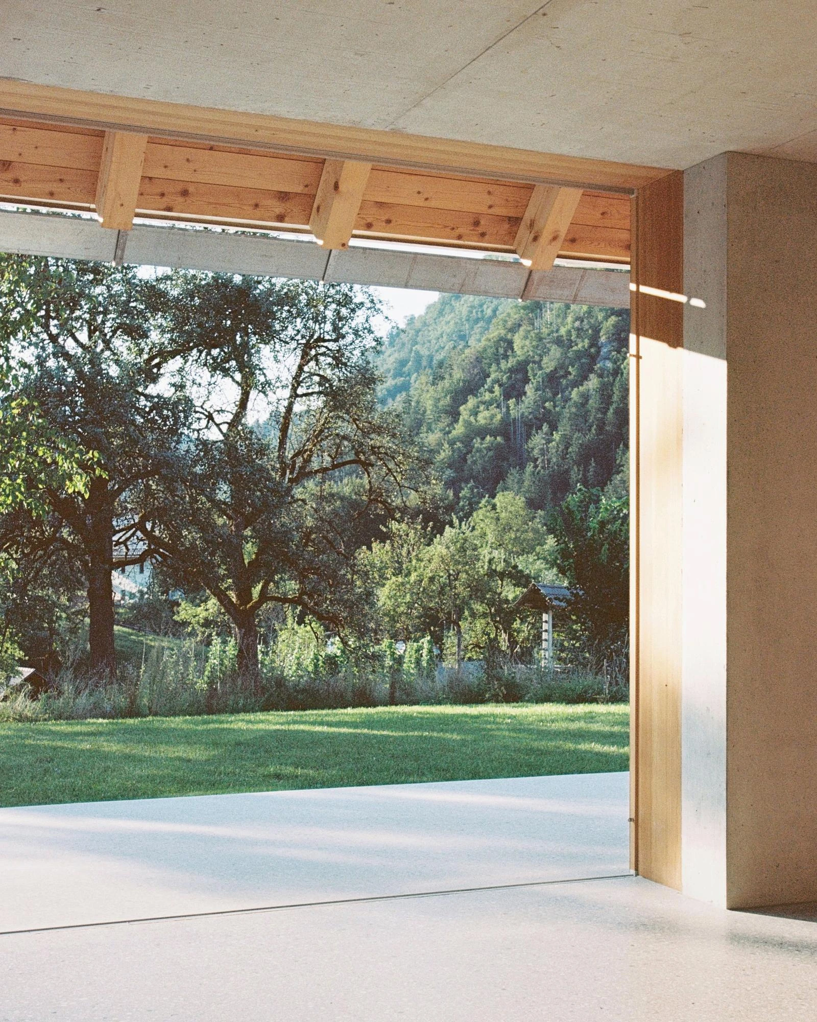 House Alva by Arhitekti Počivašek Petranovič, photographed by Urban Petranovič — The terrace threshold framed by timber joists and a concrete soffit, the floor running out toward a forested slope.