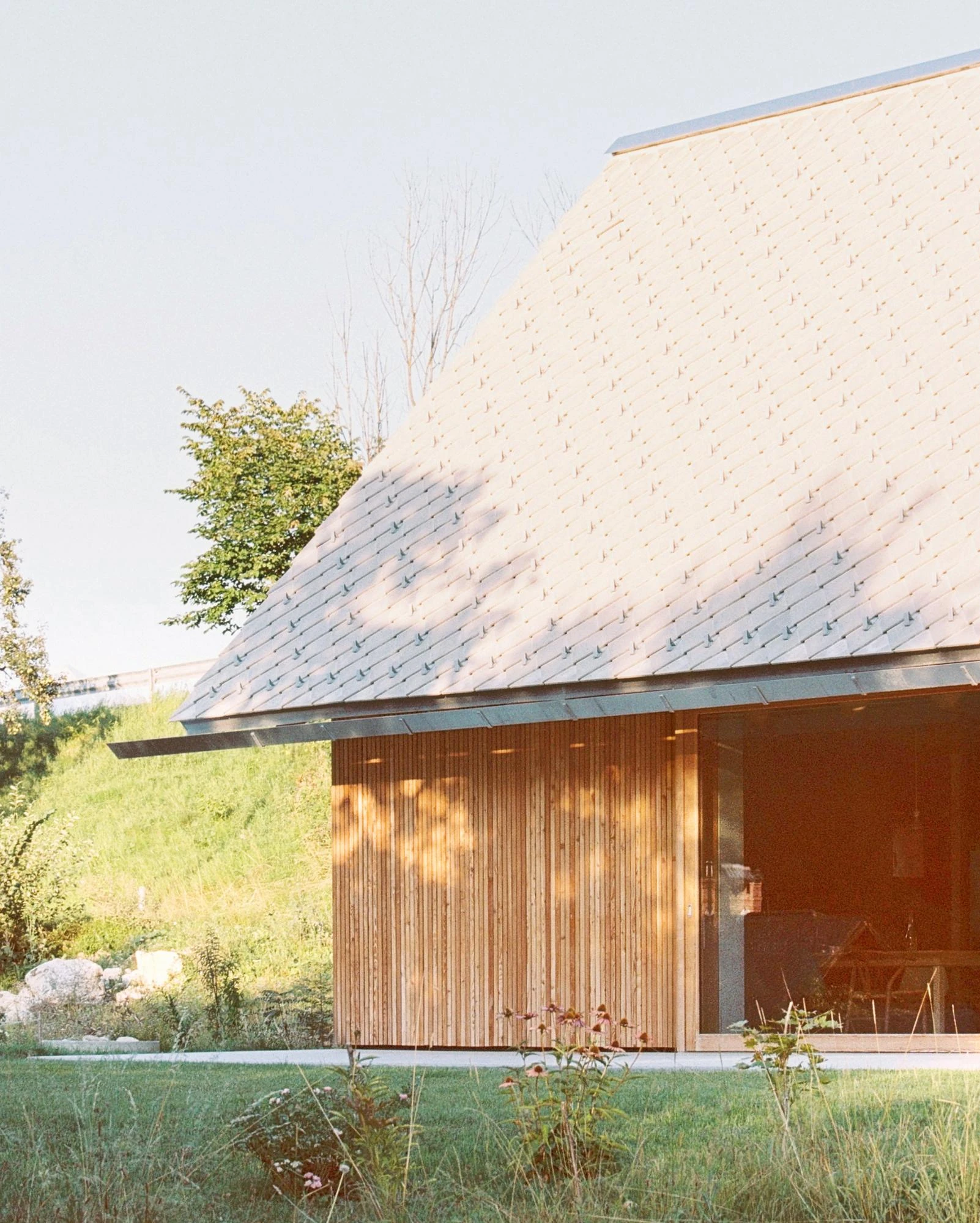 House Alva by Arhitekti Počivašek Petranovič, photographed by Urban Petranovič — A corner of the house in afternoon light, vertical larch cladding meeting the scalloped roof above meadow grasses.