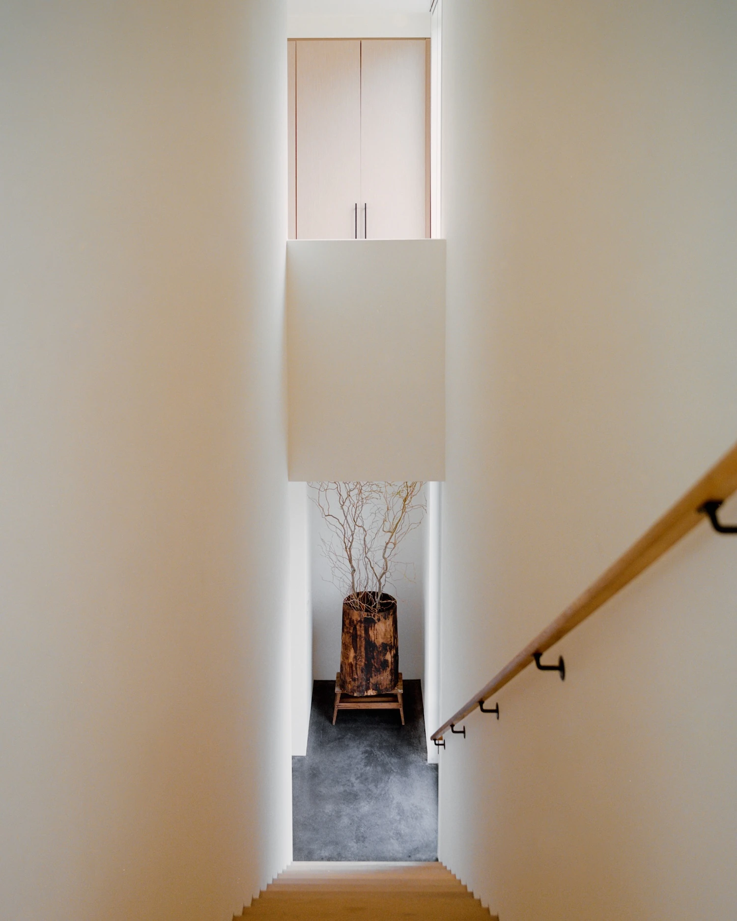 Schoolhouse by JG Neukomm Architecture, photographed by William Jess Laird — A white oak stair descends past plaster walls toward a hollowed log vessel holding bare branches, an iron-bracketed wood handrail at right.
