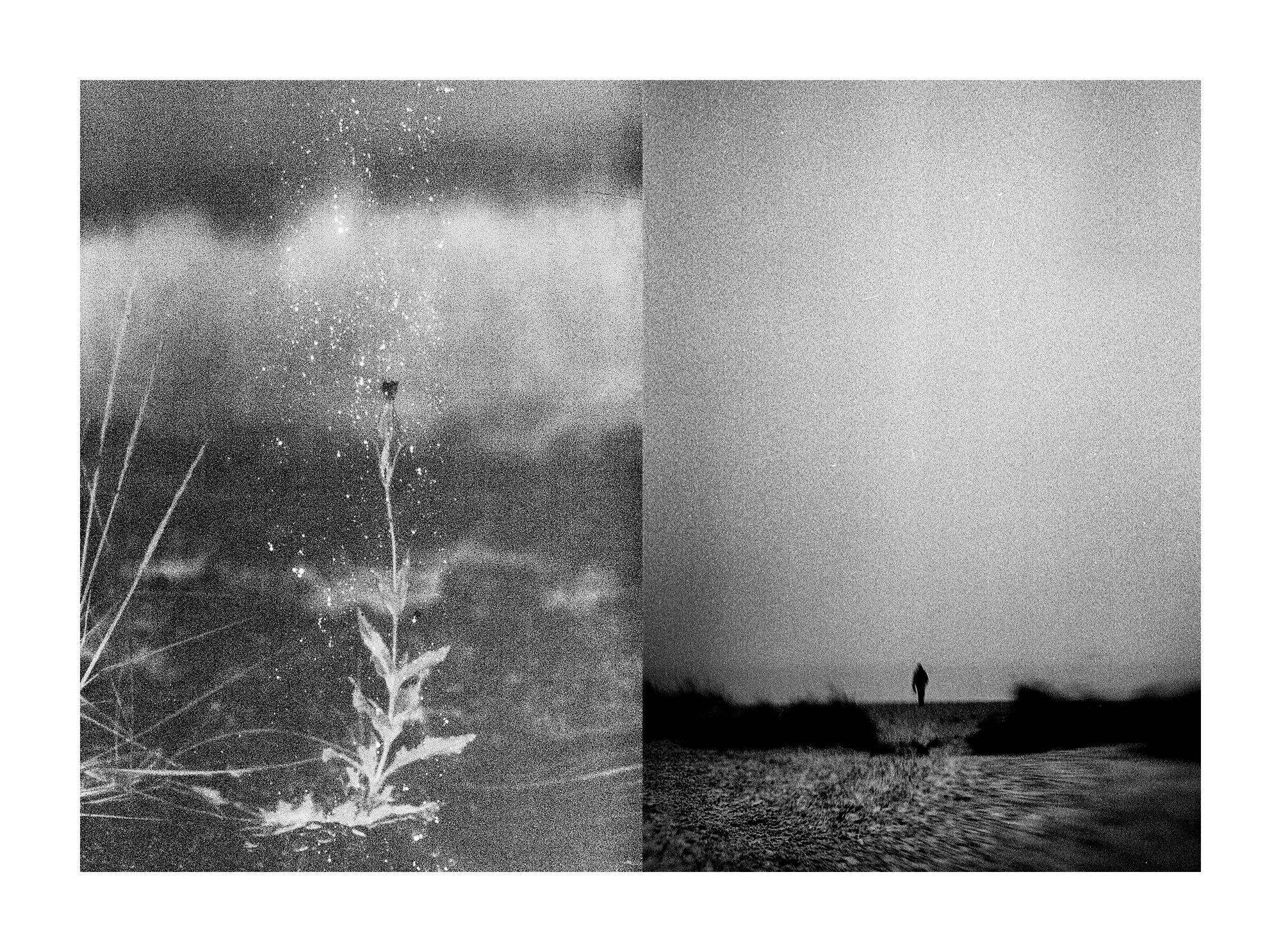 Everything is Wrong by Mark Tamer, photographed by Mark Tamer — A grainy thistle and seed head sit under speckled cloud beside a lone figure standing tiny on a washed-out shoreline horizon.