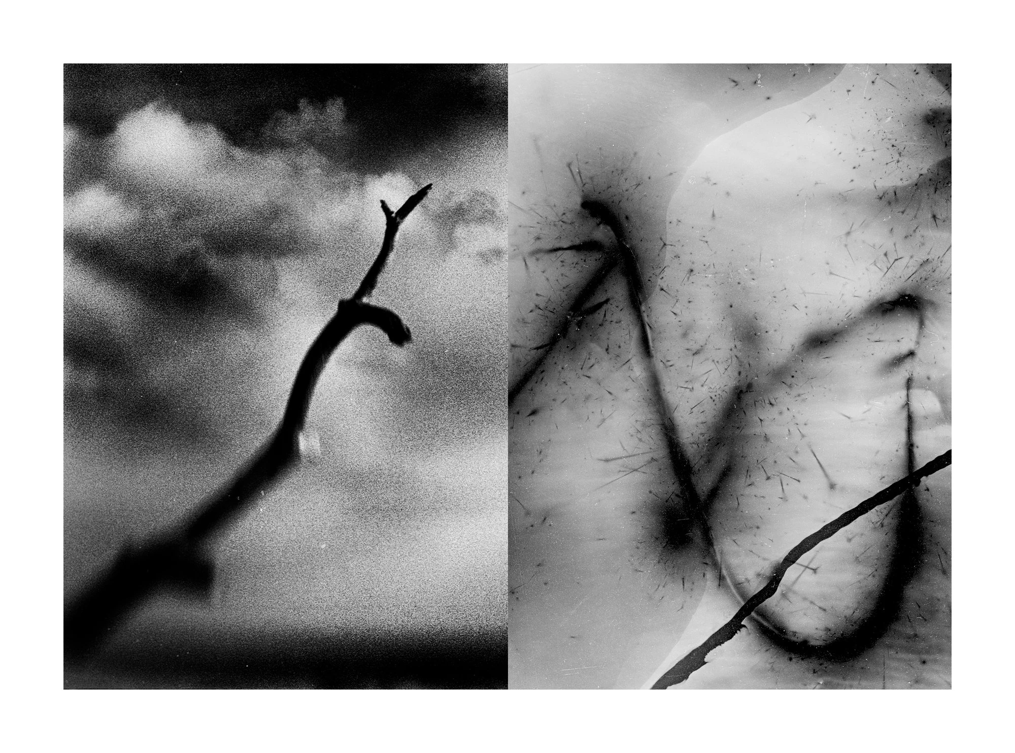 Everything is Wrong by Mark Tamer, photographed by Mark Tamer — A dark twig hardens into a scratch against cloudy grain next to a pale abstract field scattered with hair-fine lines and a looping black mark.