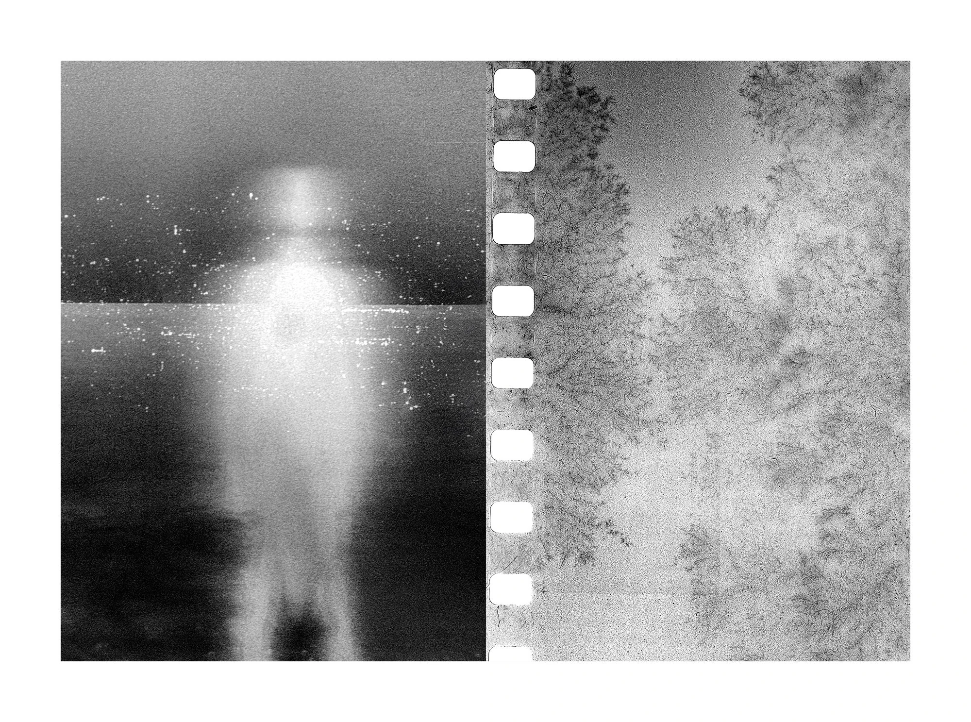 Everything is Wrong by Mark Tamer, photographed by Mark Tamer — A glowing white figure stands at the edge of black water beside a vertical strip of sprocket holes and frost-pale, solarised trees.