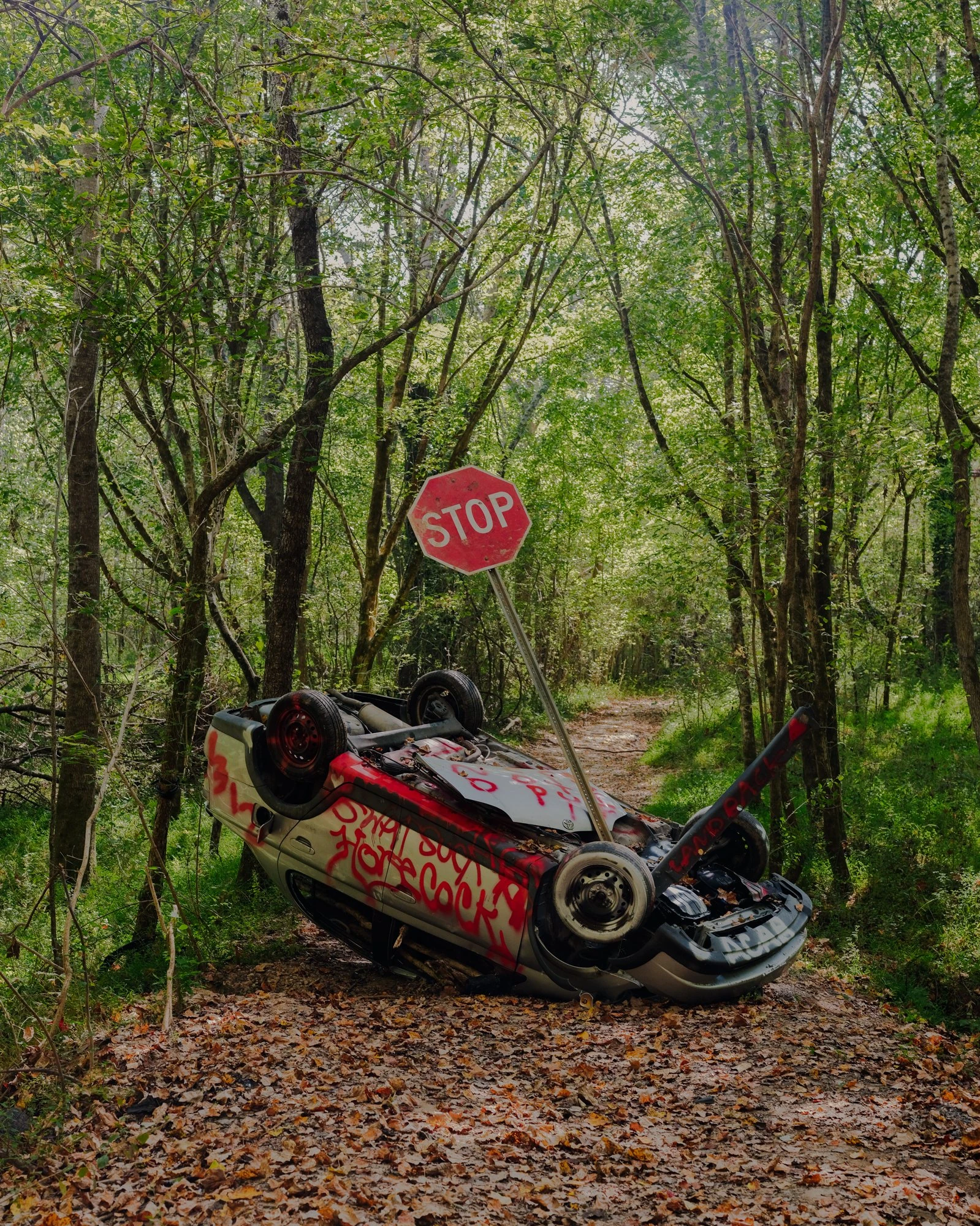 It's Not the Wind by Jordan Conway, photographed by Jordan Conway — A small car lies upended across a wooded trail, its red-painted underside tagged with graffiti and a stolen STOP sign planted beside it.