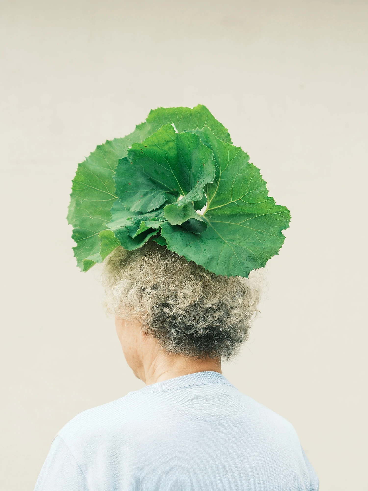 Nirvana by Daesung Lee, photographed by Daesung Lee — Broad green cabbage leaves splay from the back of a woman's curly grey head like a feathered hat against a pale wall.