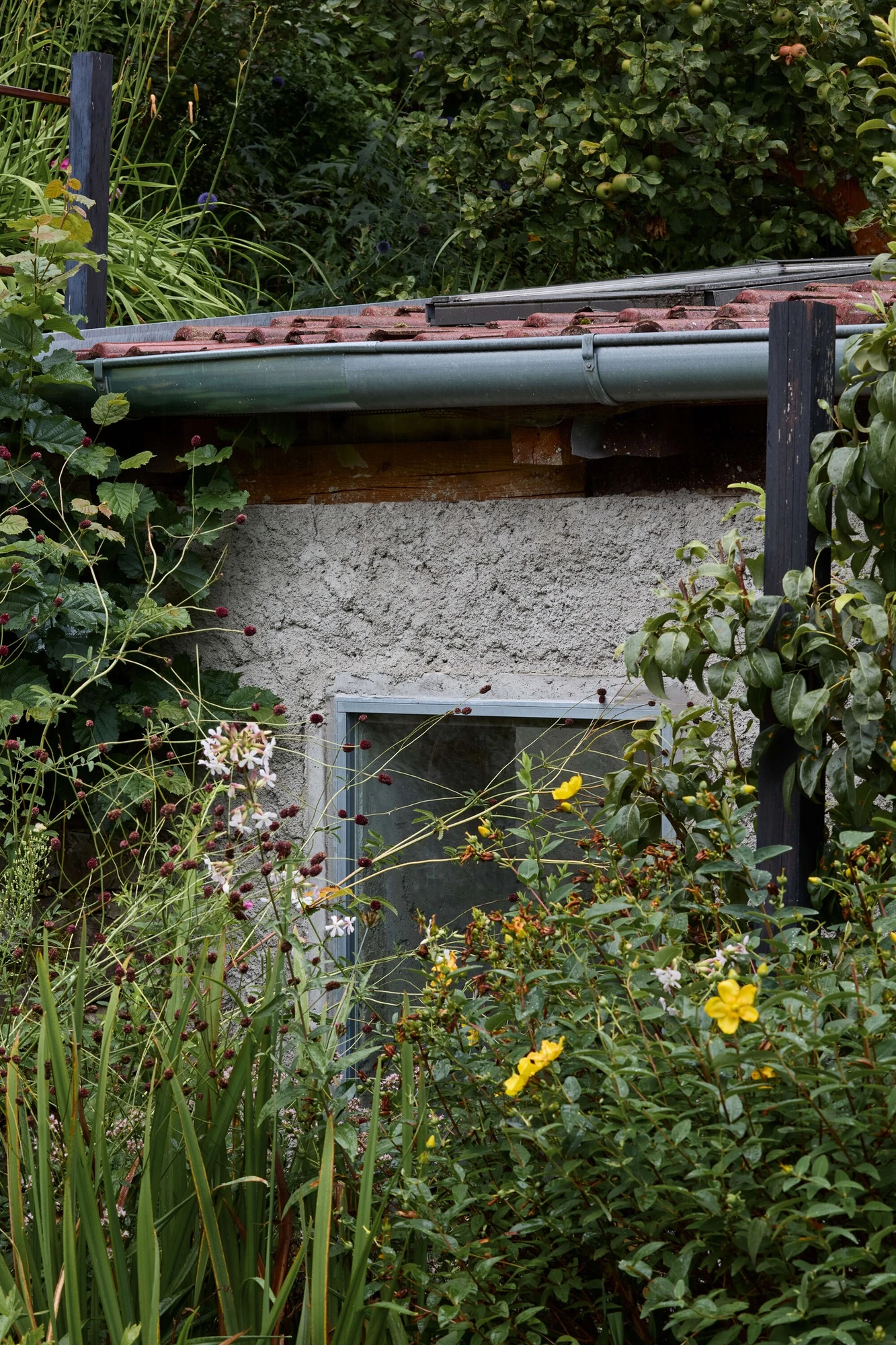 Panoši Újezd Summer House by Lenka Milerová, photographed by Radek Šrettr Úlehla — A window framed by render and stone sits half-swallowed by flowering garden growth under the tiled eave.