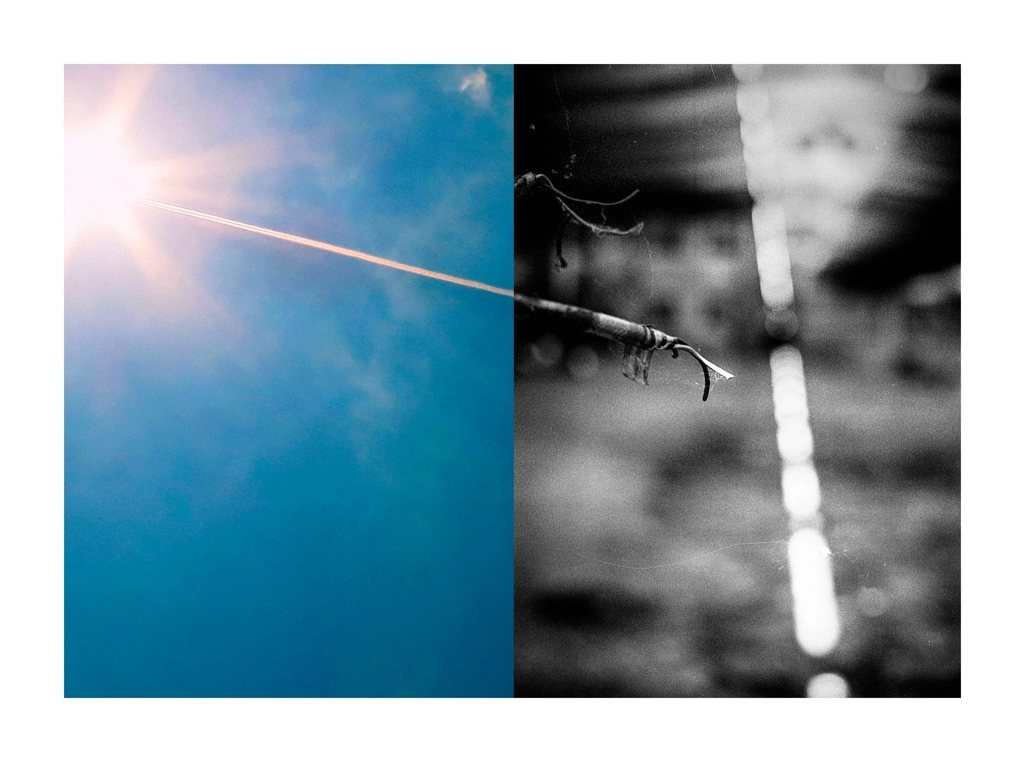 Everything is Wrong by Mark Tamer, photographed by Mark Tamer — A diptych pairs a blue sky streaked by a sun flare and orange contrail with a blurred black-and-white branch and vertical light.