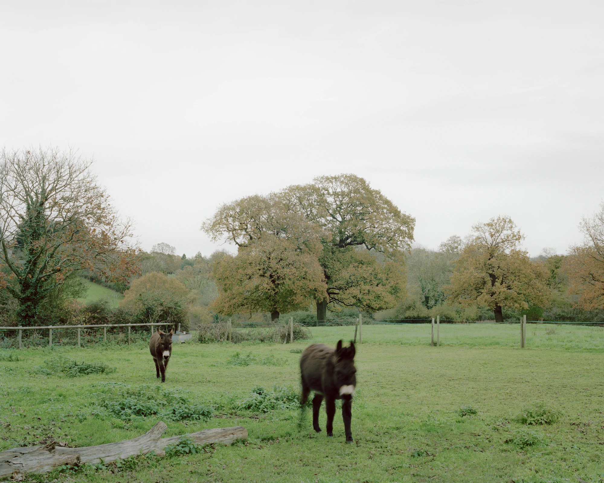 The Old Byre by Gianni Botsford Architects, photographed by Willem Pab — conversion of two farm buildings into a home and artist residency on the Isle of Wight, United Kingdom