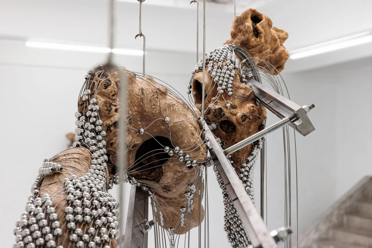 NADIR by Zishi Han and Laurence Sturla — Two knots of London Plane wood, wrapped tightly in stainless steel beads and wire, hang suspended against the pale gallery.