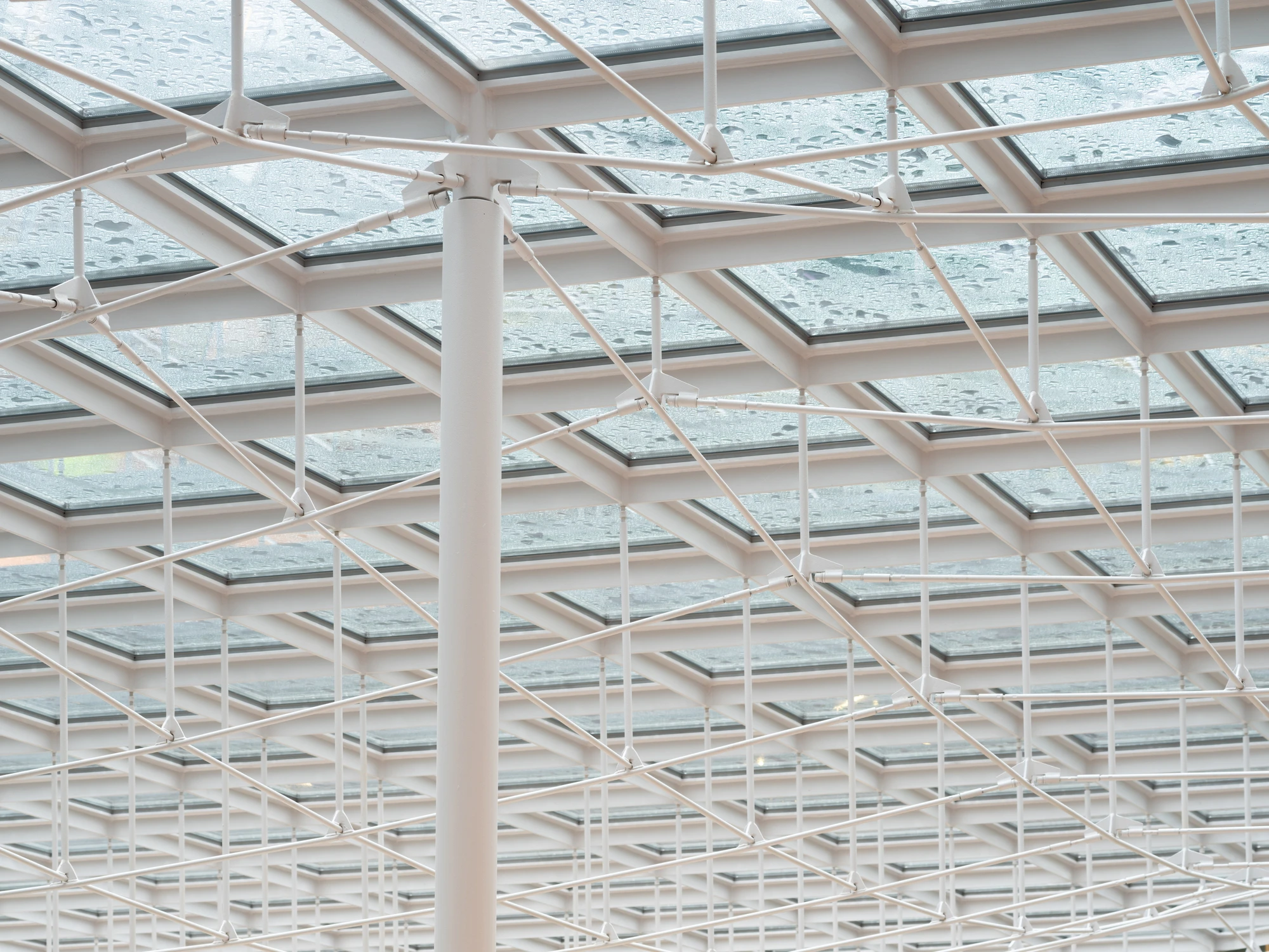 La Samaritaine by SANAA, photographed by Jared Chulski — A detail of the new glazed roof, white steel framing and slender tie rods beaded with rain.
