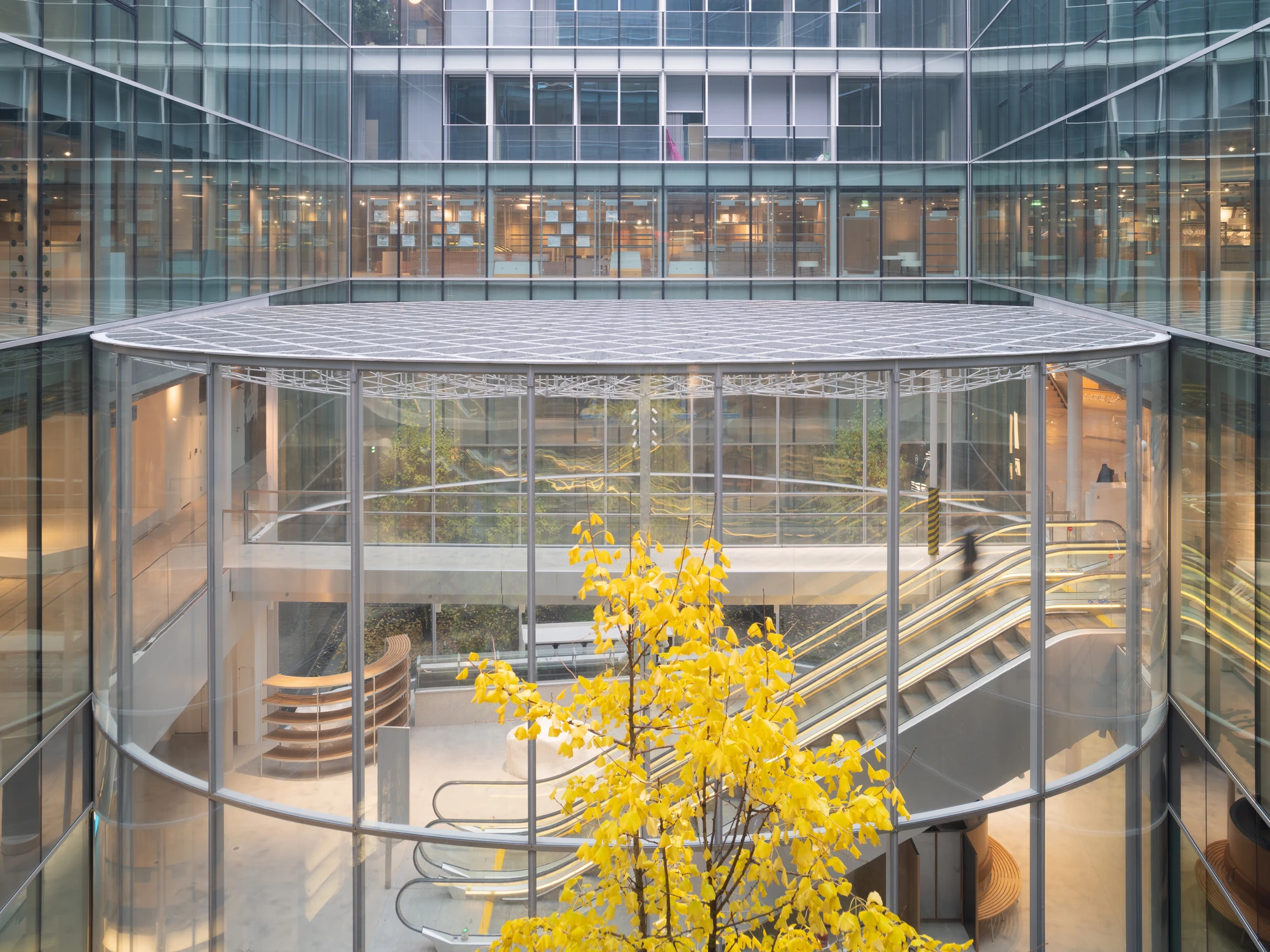 La Samaritaine by SANAA, photographed by Jared Chulski — The glass drum of a new courtyard, spiral escalators winding inside and a ginkgo turning yellow at its base.