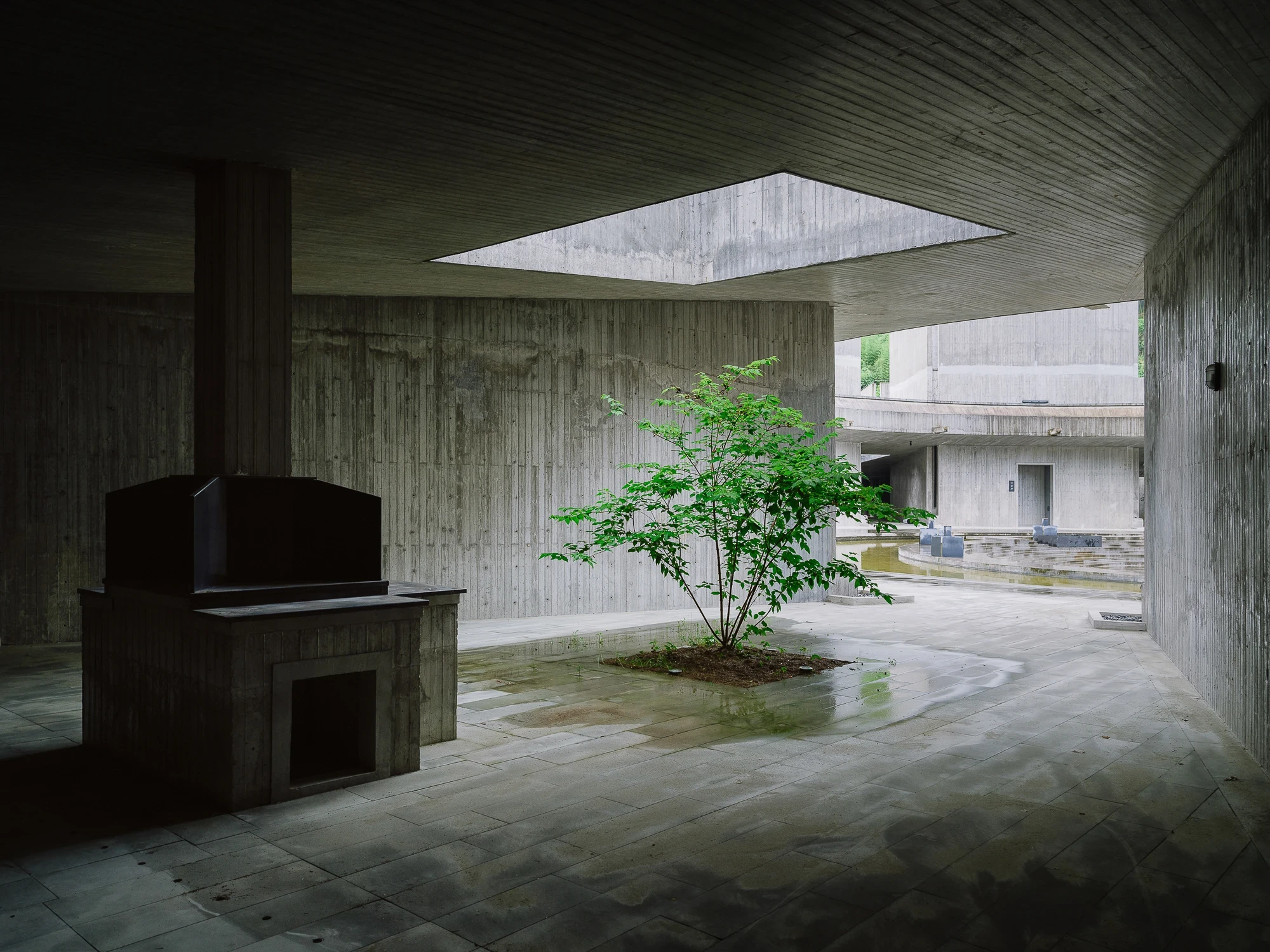 Suichang Funerary Complex by Untitled Architects, photographed by Tianzhou Yang — a young tree grows from a paved court beneath a square skylight, a dark cabinet set against the board-formed concrete wall.
