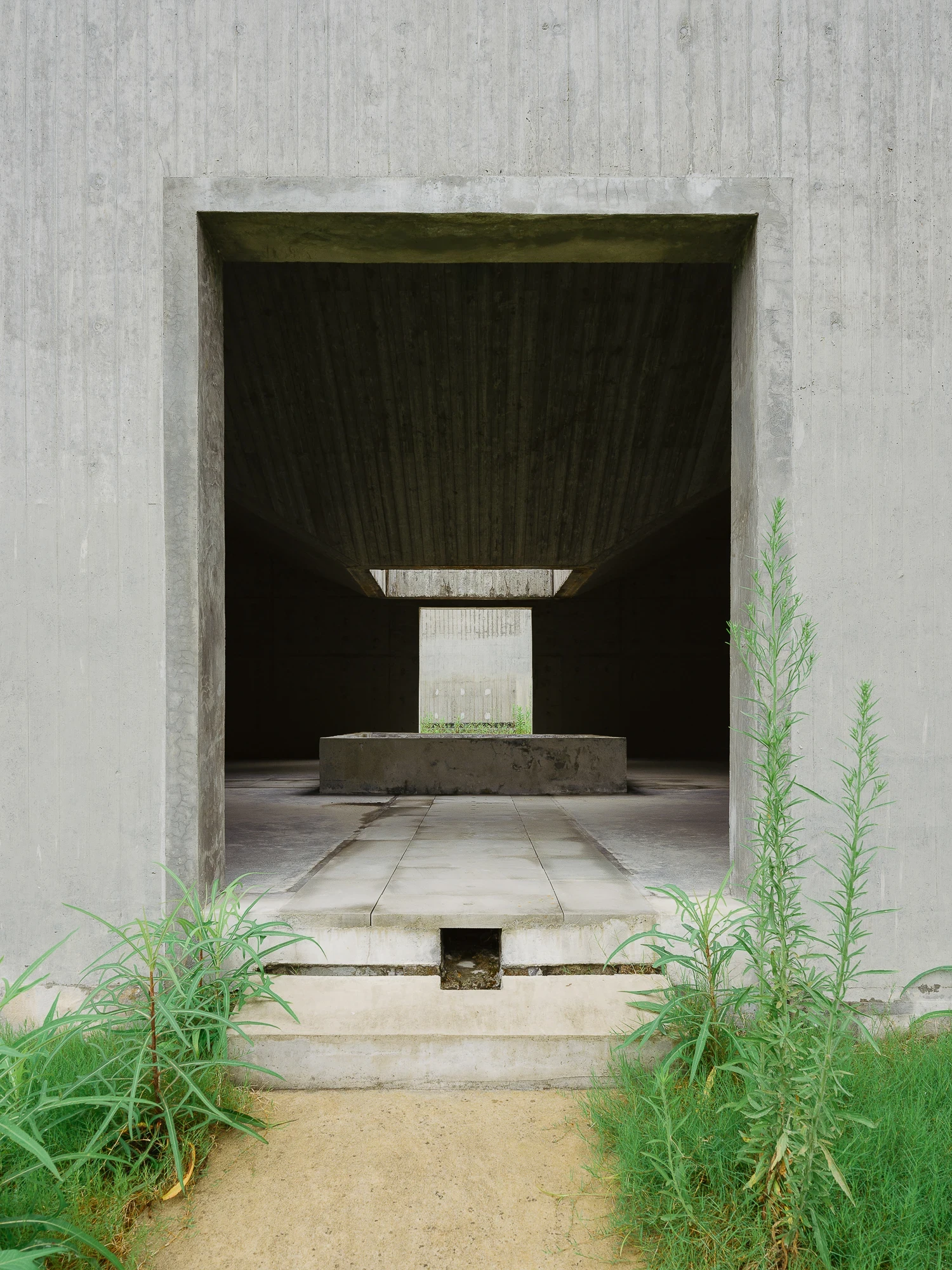 Suichang Funerary Complex by Untitled Architects, photographed by Tianzhou Yang — a concrete doorway framing a circular platform and distant light slot, wild grass at the threshold.