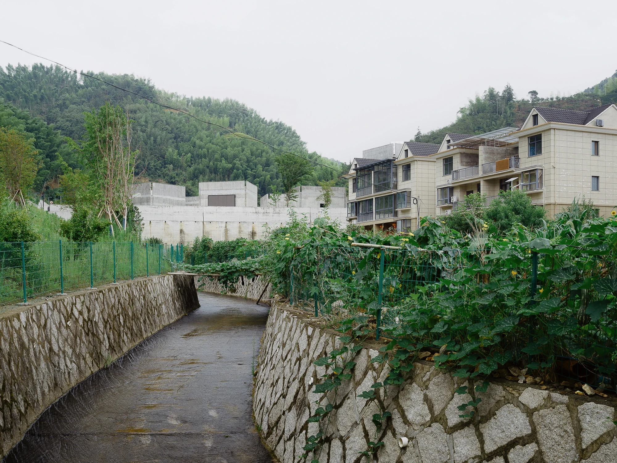 Suichang Funerary Complex by Untitled Architects, photographed by Tianzhou Yang — the complex seen from a stone-walled stream channel, town houses and wooded hills pressing against its perimeter.